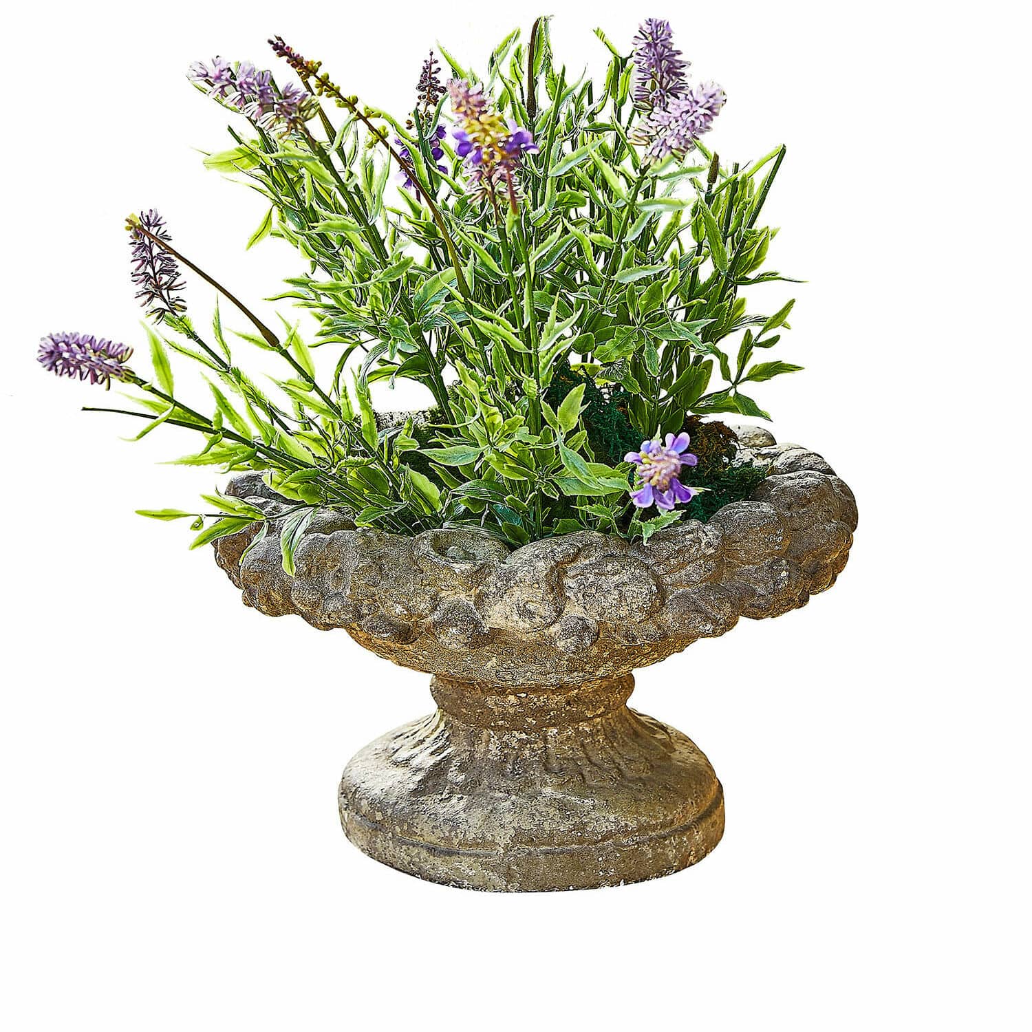 Decoratieve stenen bloempot met groene bladeren en paarse bloemen voor tuindecoratie