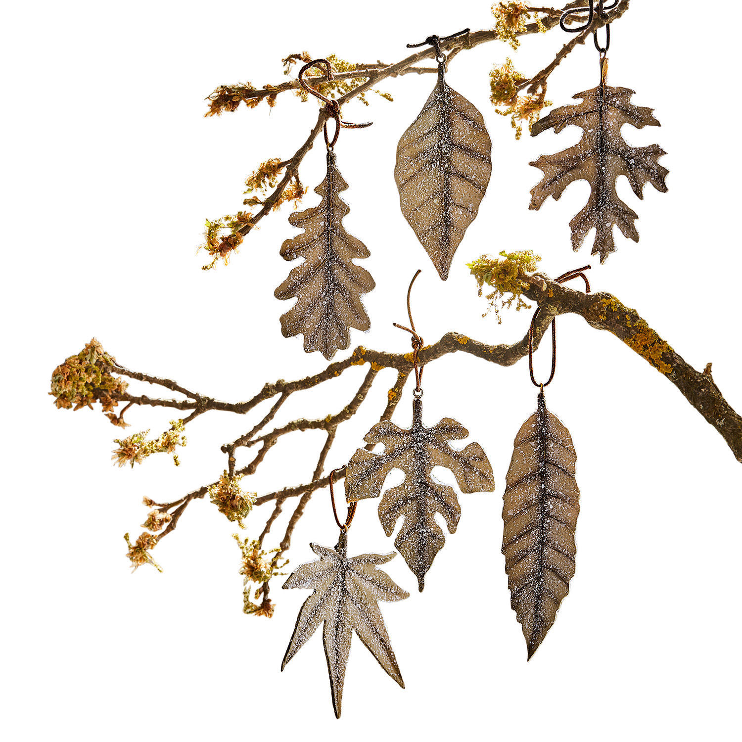 Decoratieblad set van 6 Forlí