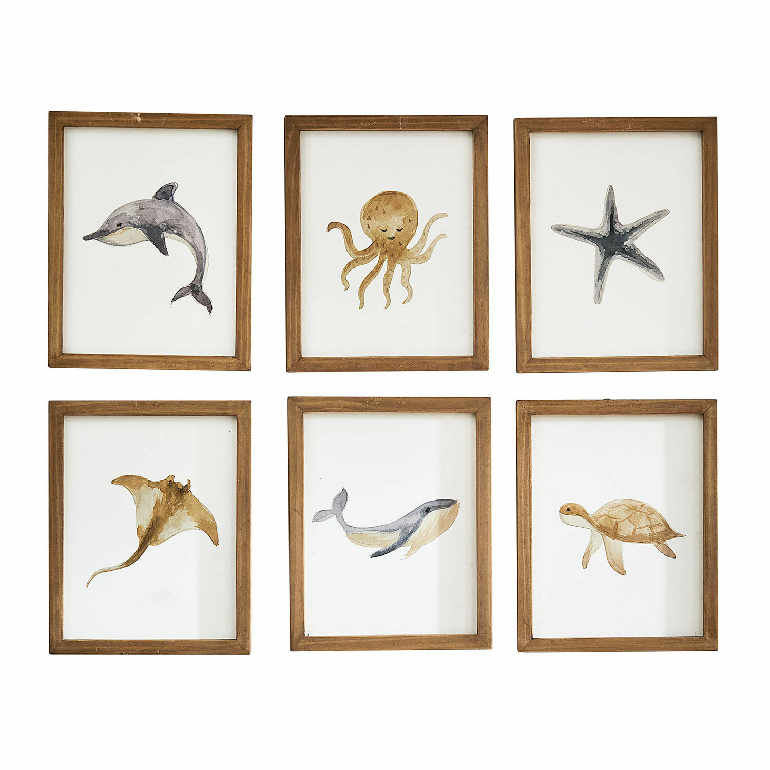 Fotoset van 6 Nibblu Set van zes houten lijsten met aquarel schilderijen van zee dieren in natuurlijke kleuren
