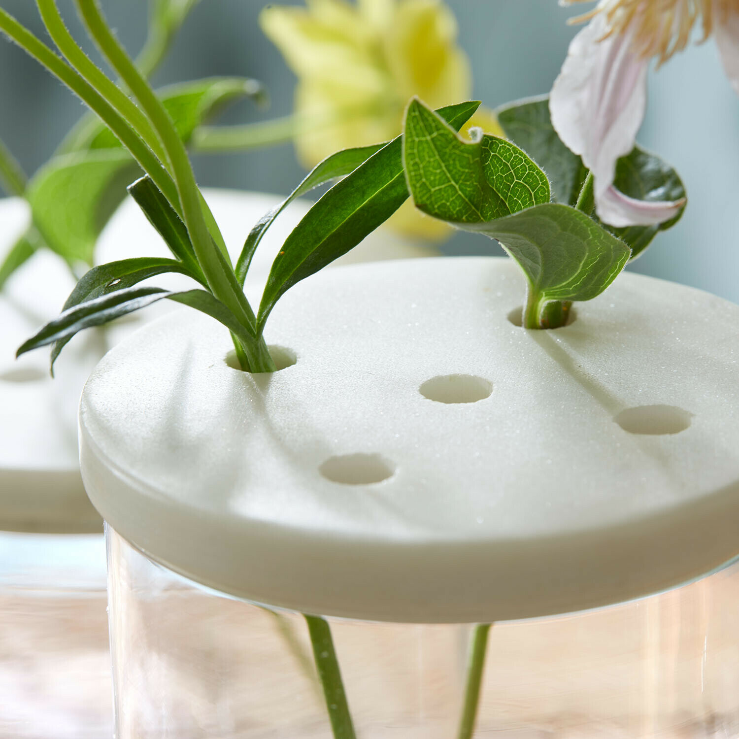 Glazen pot set van 2 Rosanella