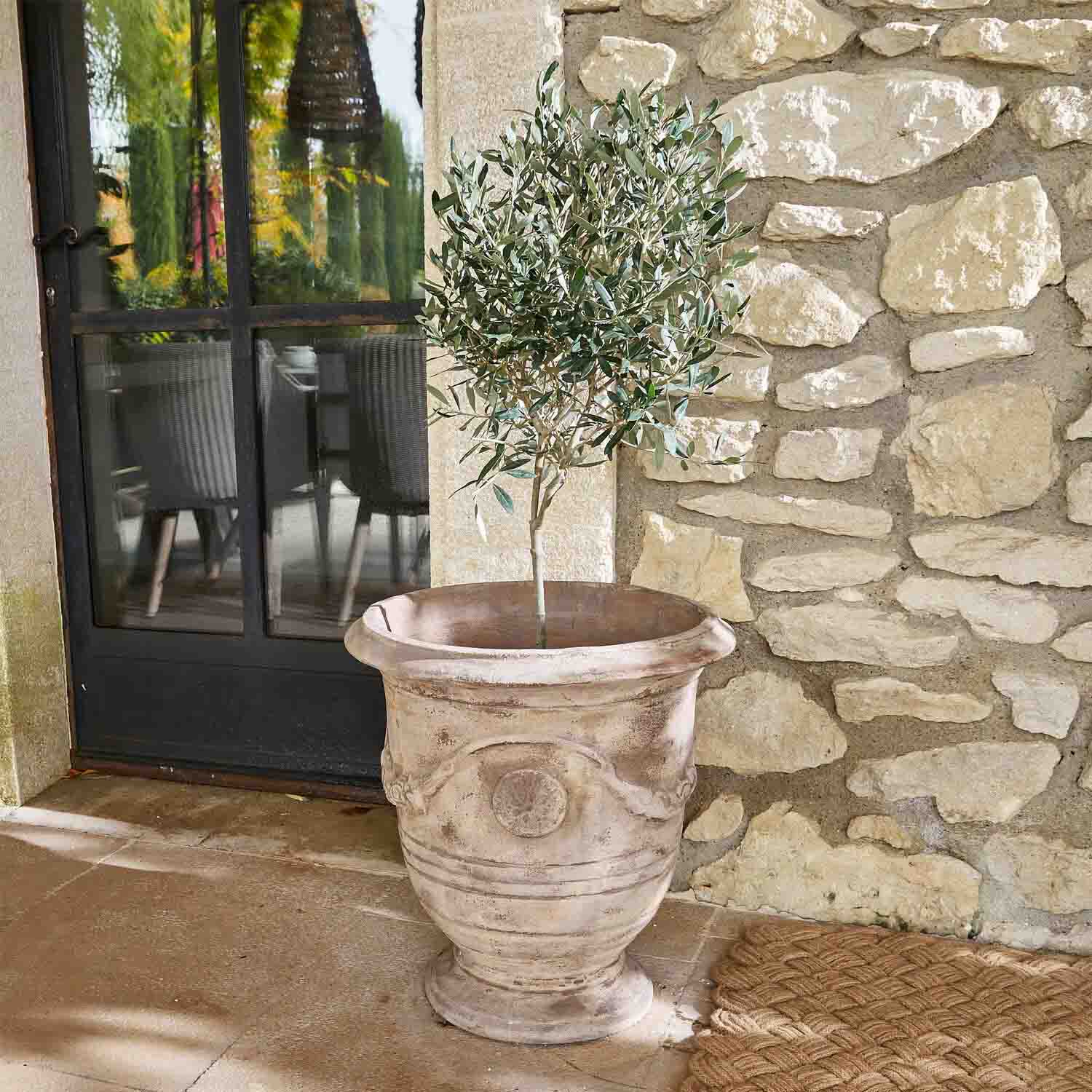 Grote beige terracotta plantenpot met olijfboom voor stenen muur en glazen deur