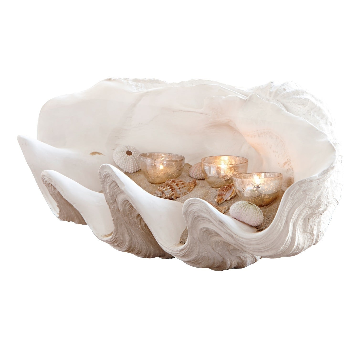 Decoratie schelp Condière