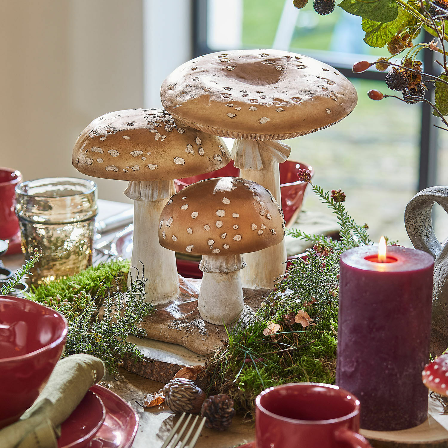 Sierpaddenstoelen Harvelle