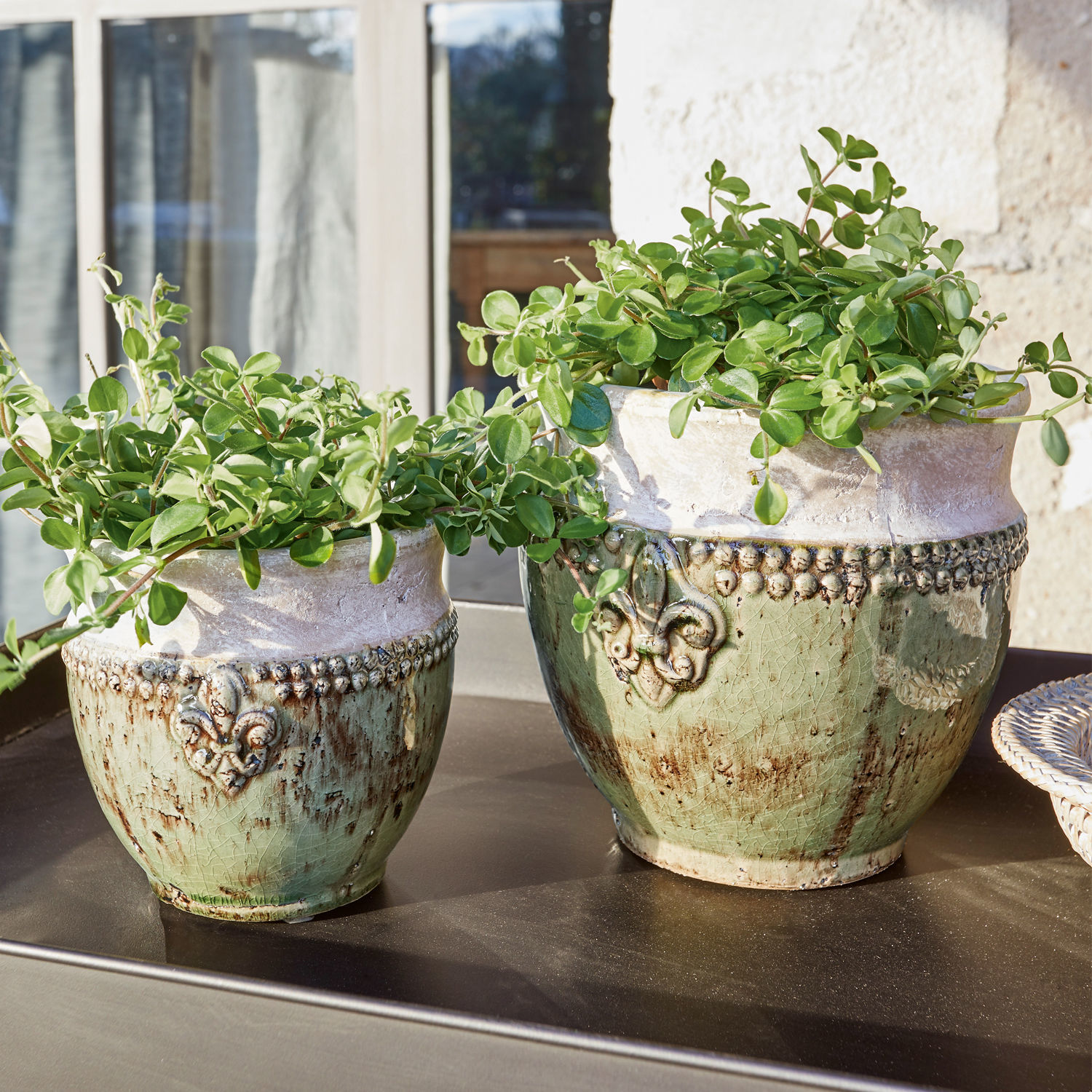 Sierpot set van 2 Montcony Twee keramische bloempotten in groen-beige met planten op een tuintafel in zonlicht