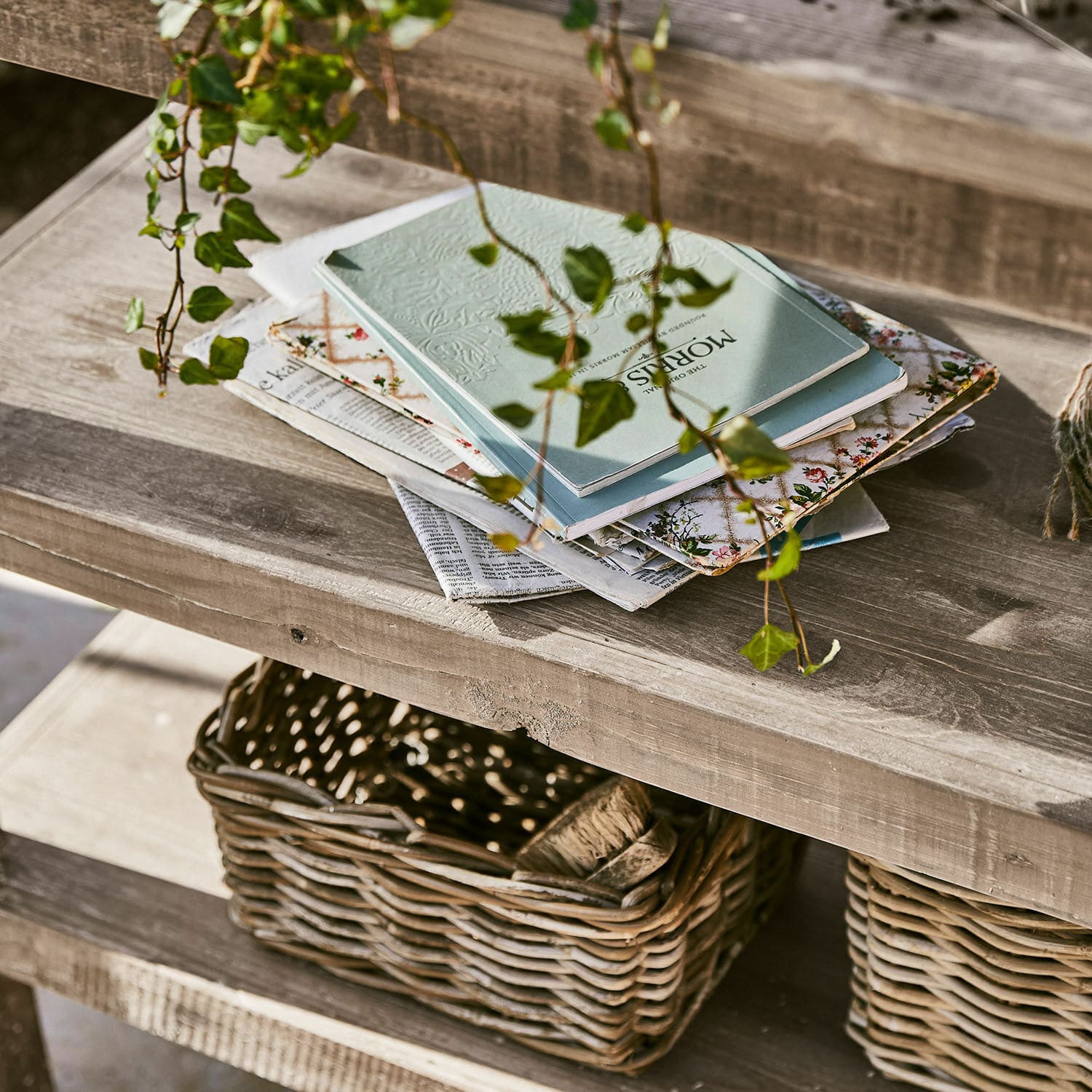 Plantentafel Otira