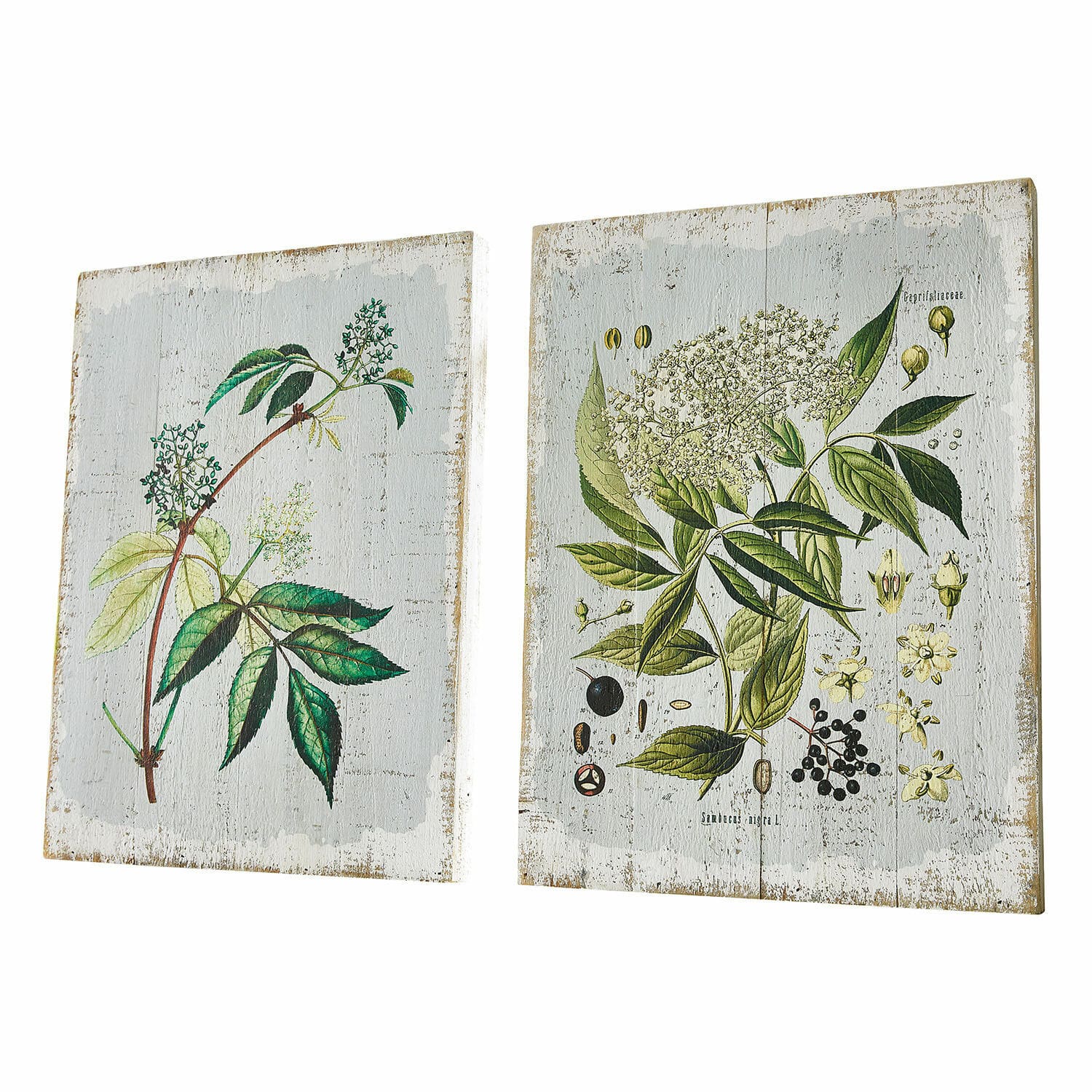 Decoboard set van 2 Loanne Twee houten panelen met botanische illustraties van groene bladeren en bloemen op witte achtergrond