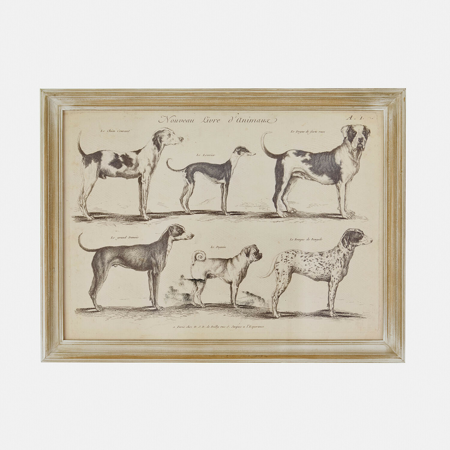 Afbeelding Wendrel Ingelijste tekening van zes hondenrassen in vintage stijl op beige achtergrond