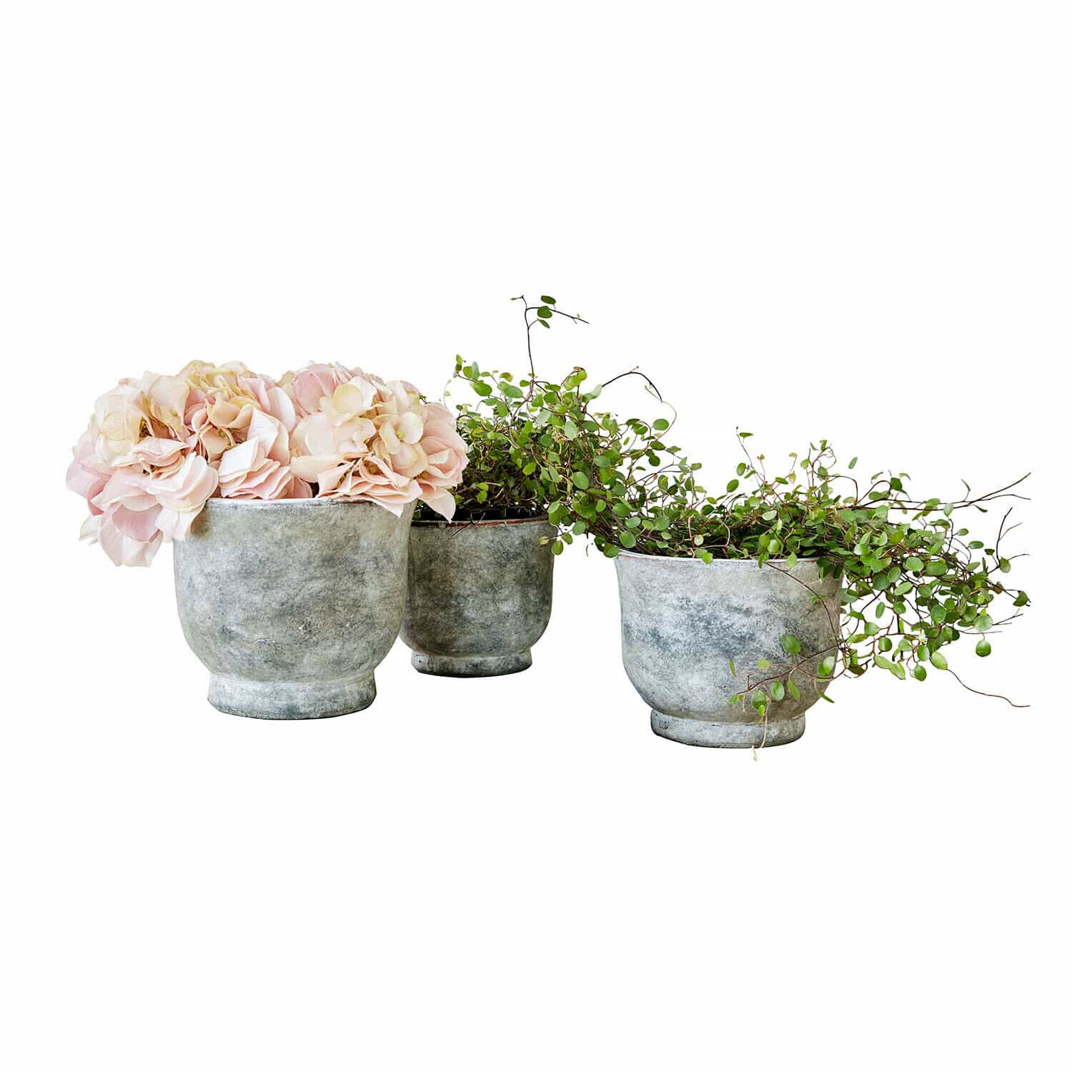 Sierpot set van 3 Ravetta Set van drie grijze betonnen potten met roze bloemen en groene klimplanten voor interieurdecoratie
