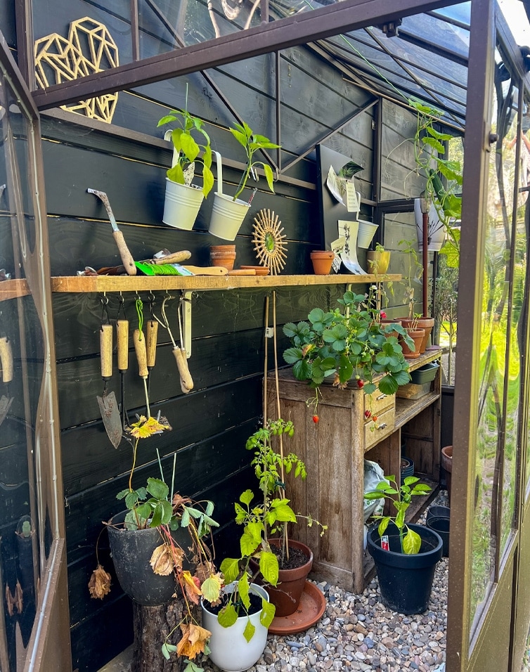 Kas met houten tafel, bloempotten en tuingereedschap op grindvloer