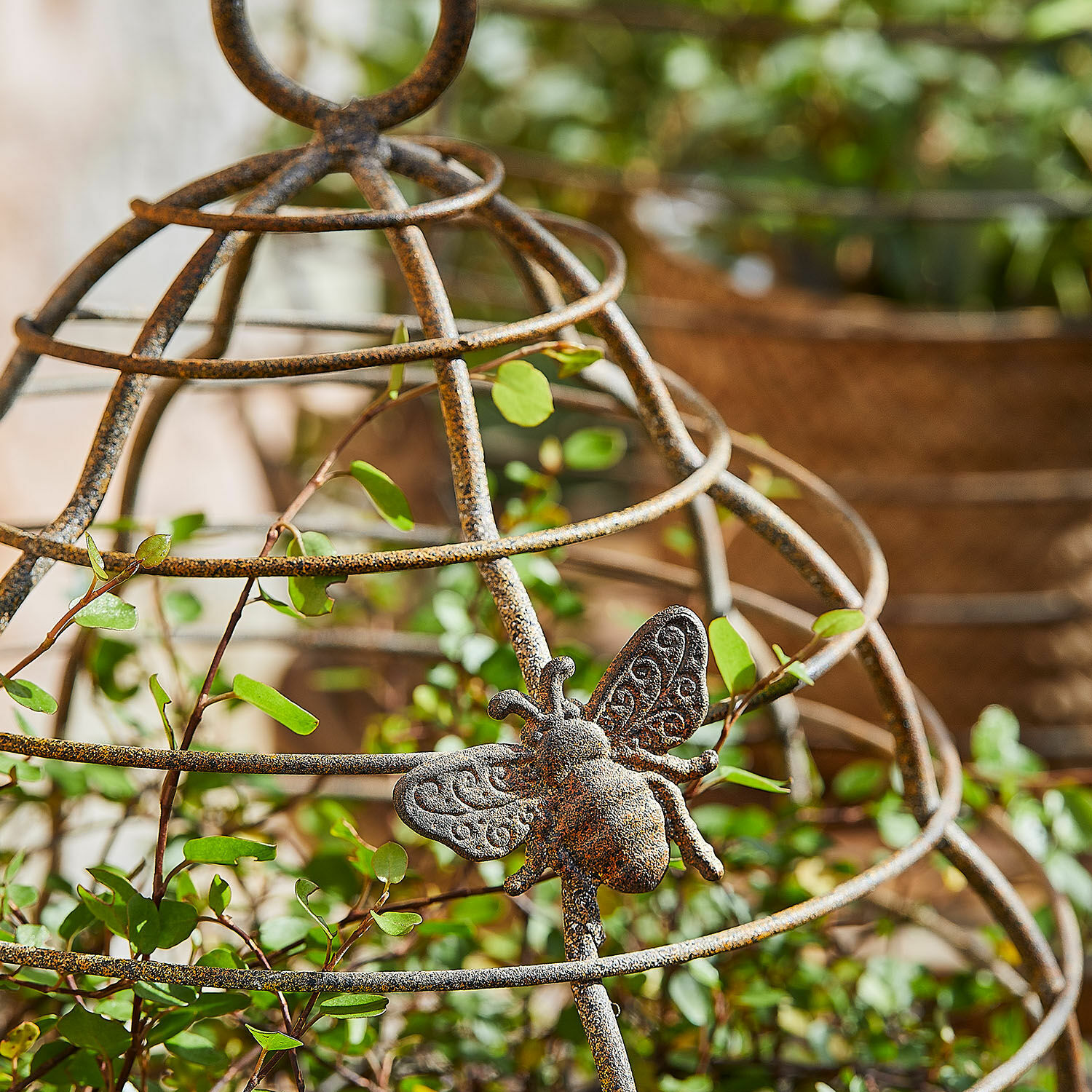 Plantensteun set van 2 Sixel