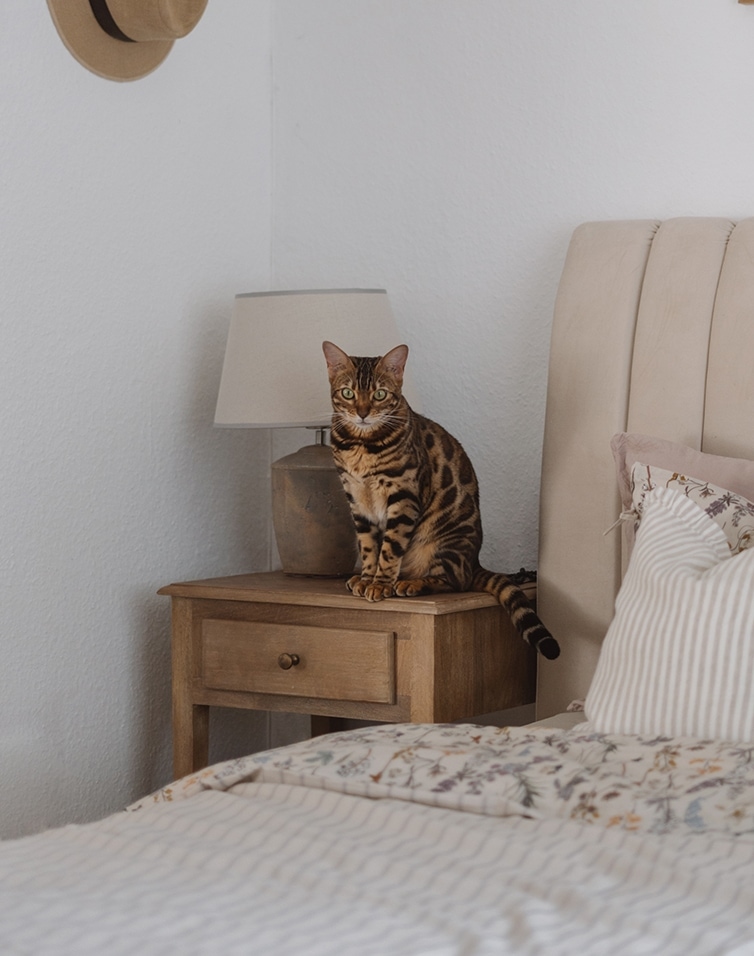 Harmonie in beige
