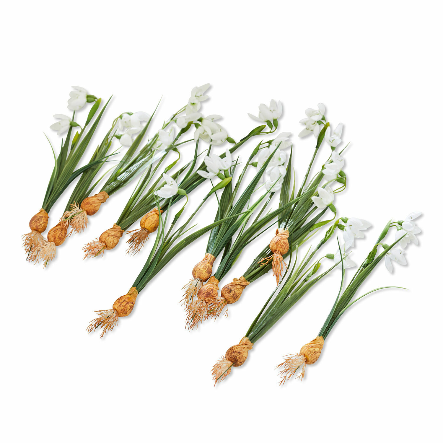 Sierbloem set van 12 Willmare