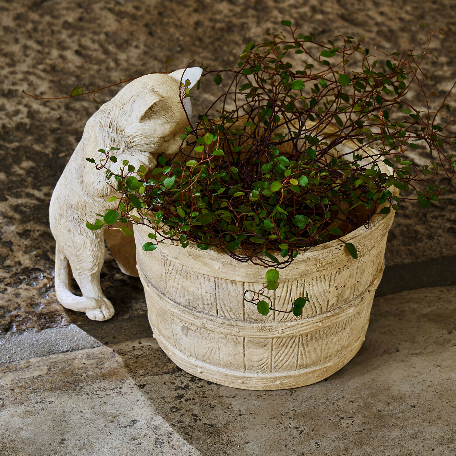 Lichte stenen pot met groene plant en beige kattenbeeld op stenen vloer