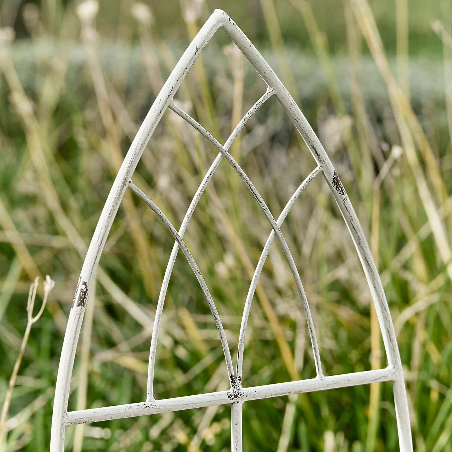 Plantensteun set van 3 Halexin