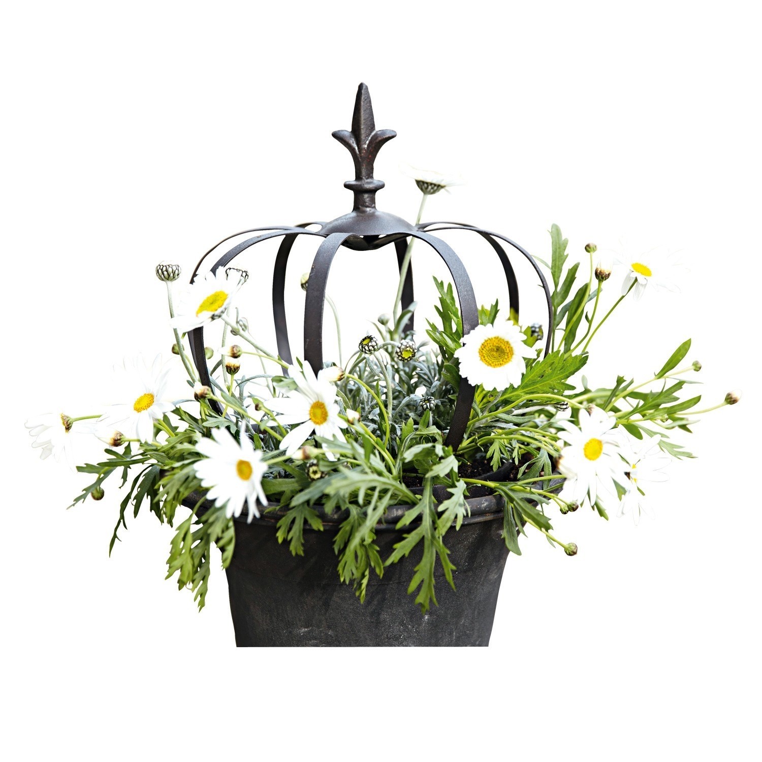 IJzeren kroon Couronne