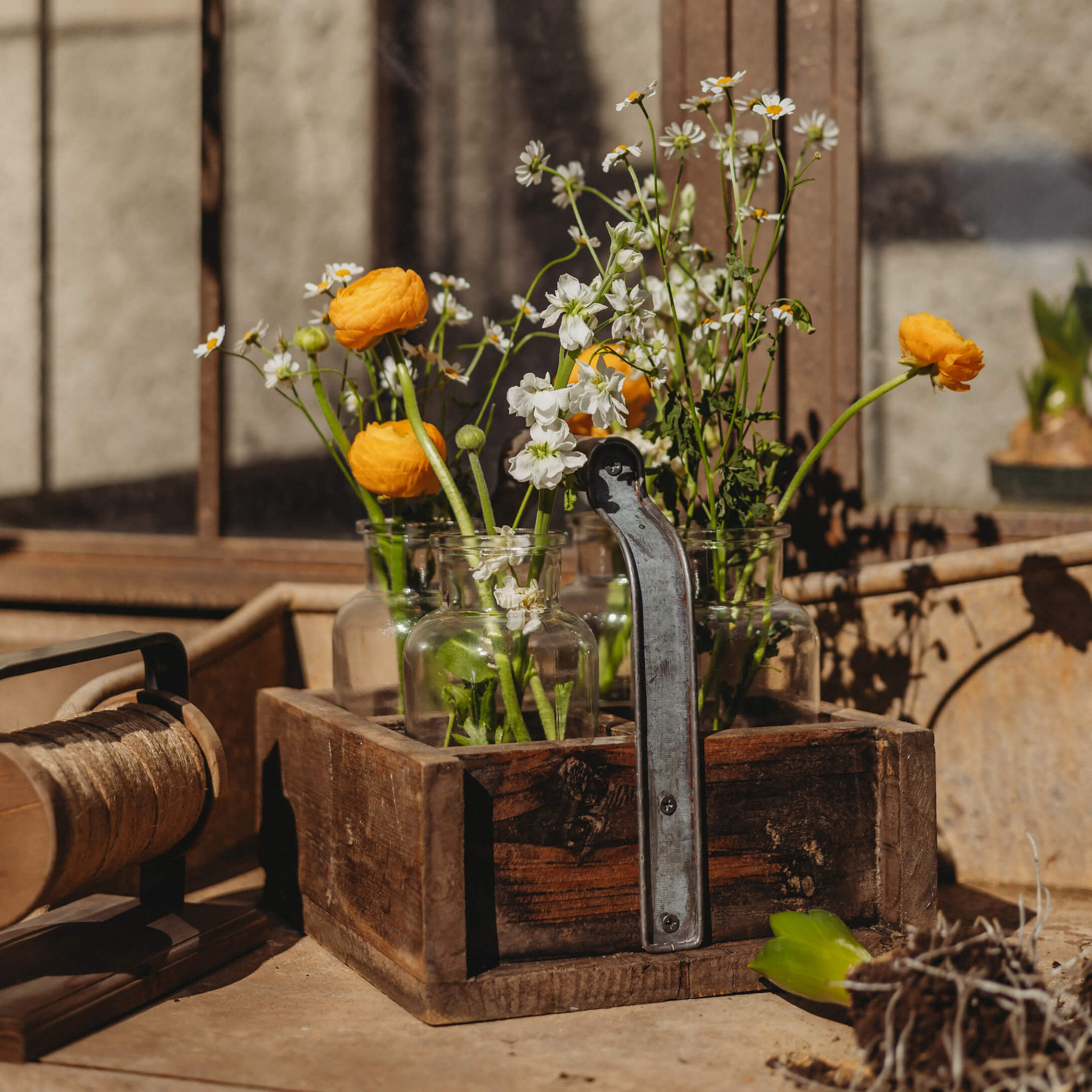 Houten doos met handvat en glazen vazen met gele en witte bloemen op een tuintafel in zonlicht