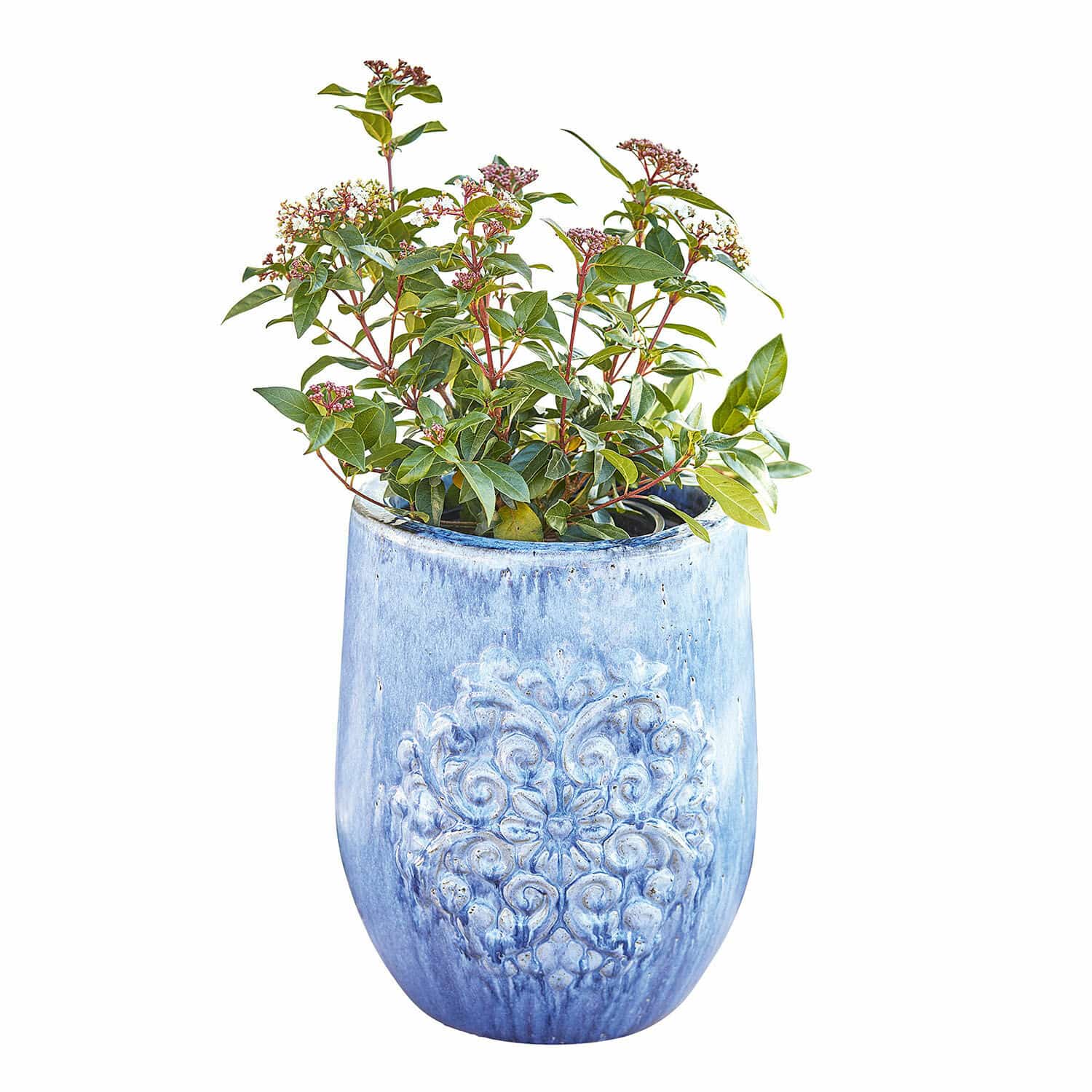 Sierpot Cordouan