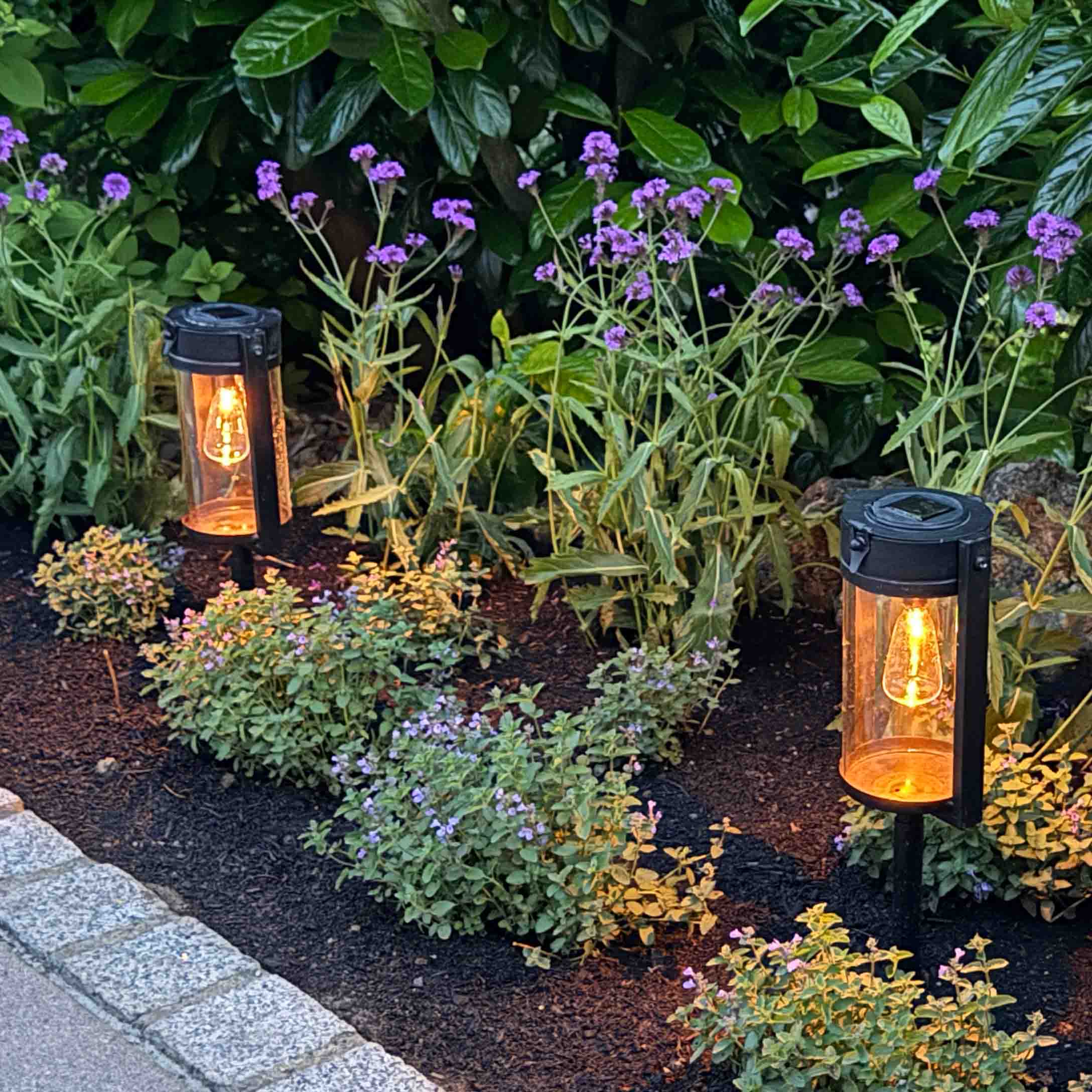 Tuinverlichting van zwart metaal met warm licht tussen groene planten en paarse bloemen