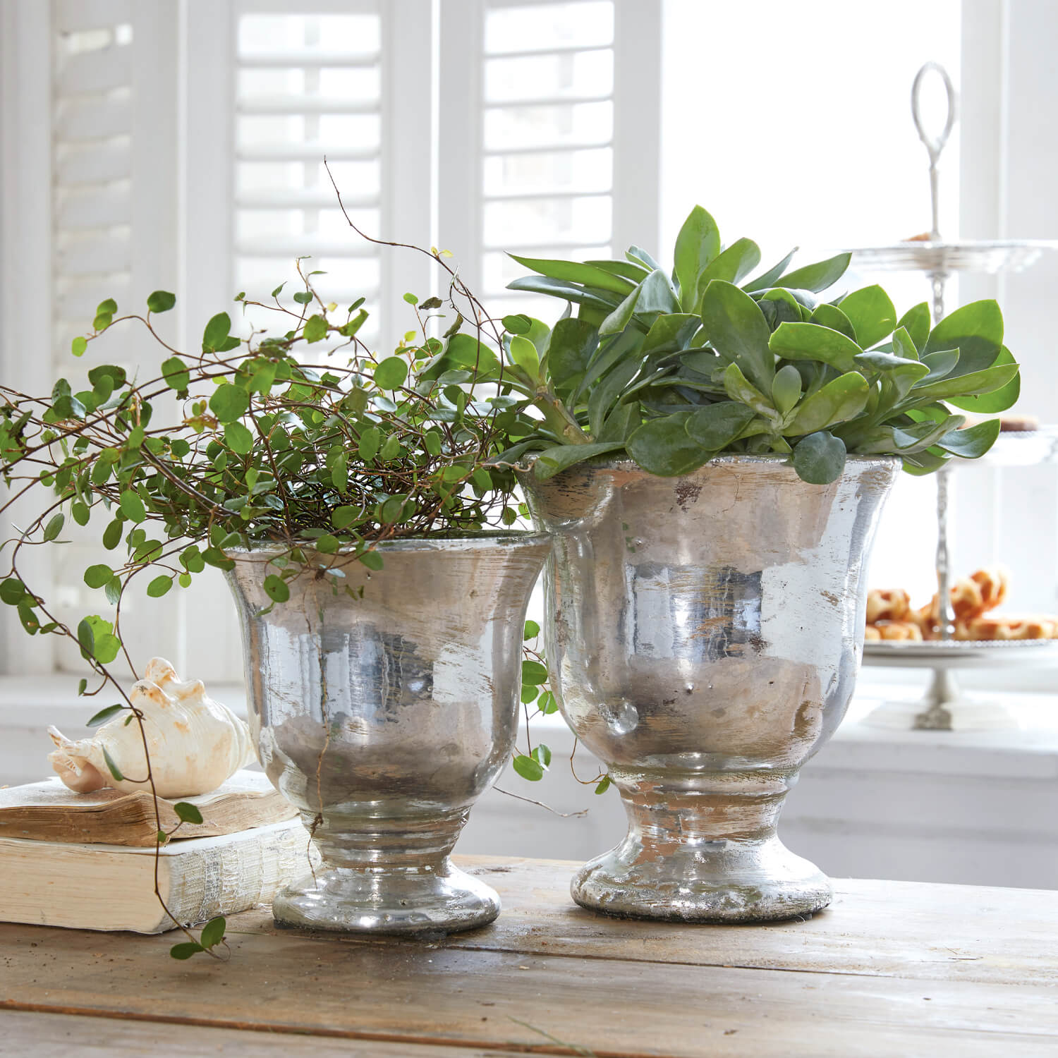 Twee zilverkleurige metalen potten met groene planten op een houten tafel in een lichte kamer
