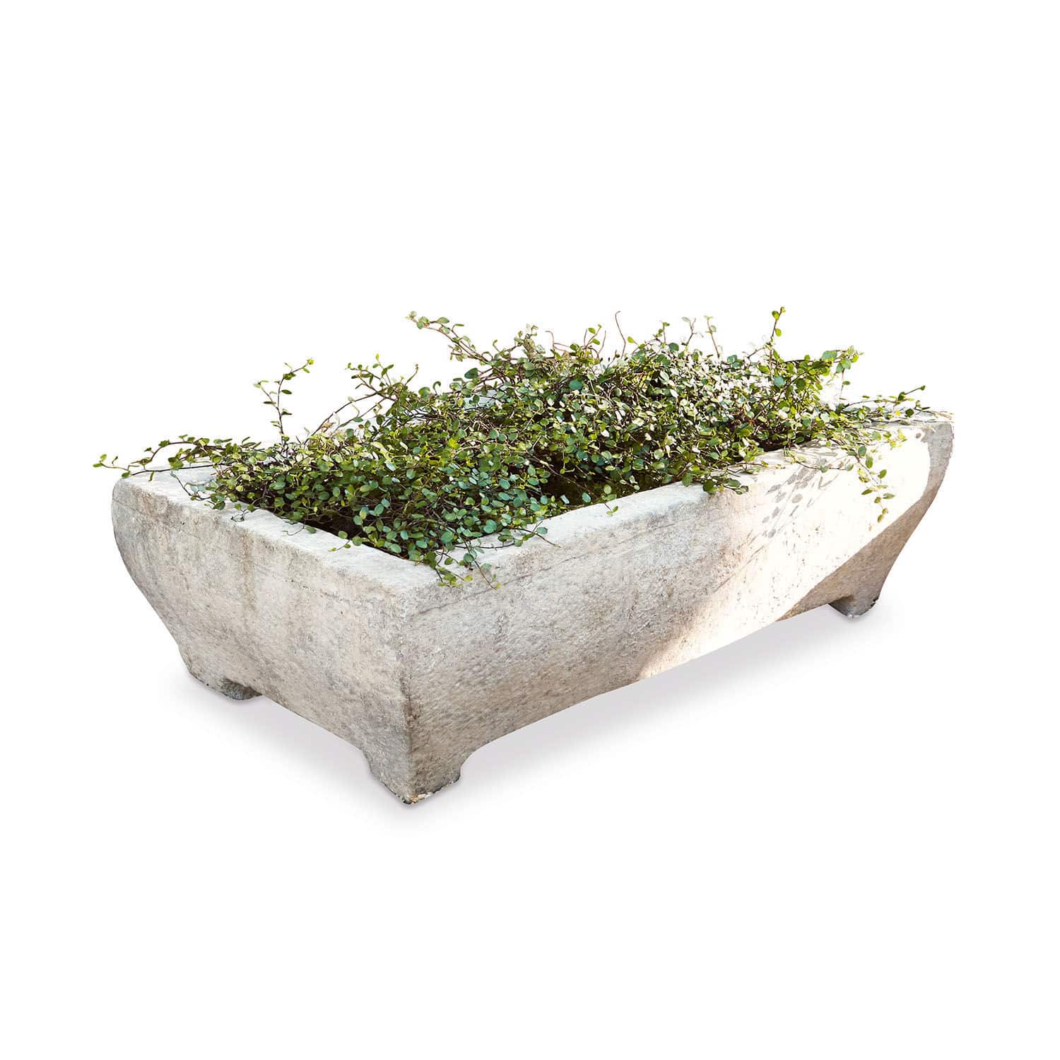 Plantenbak Kenneth