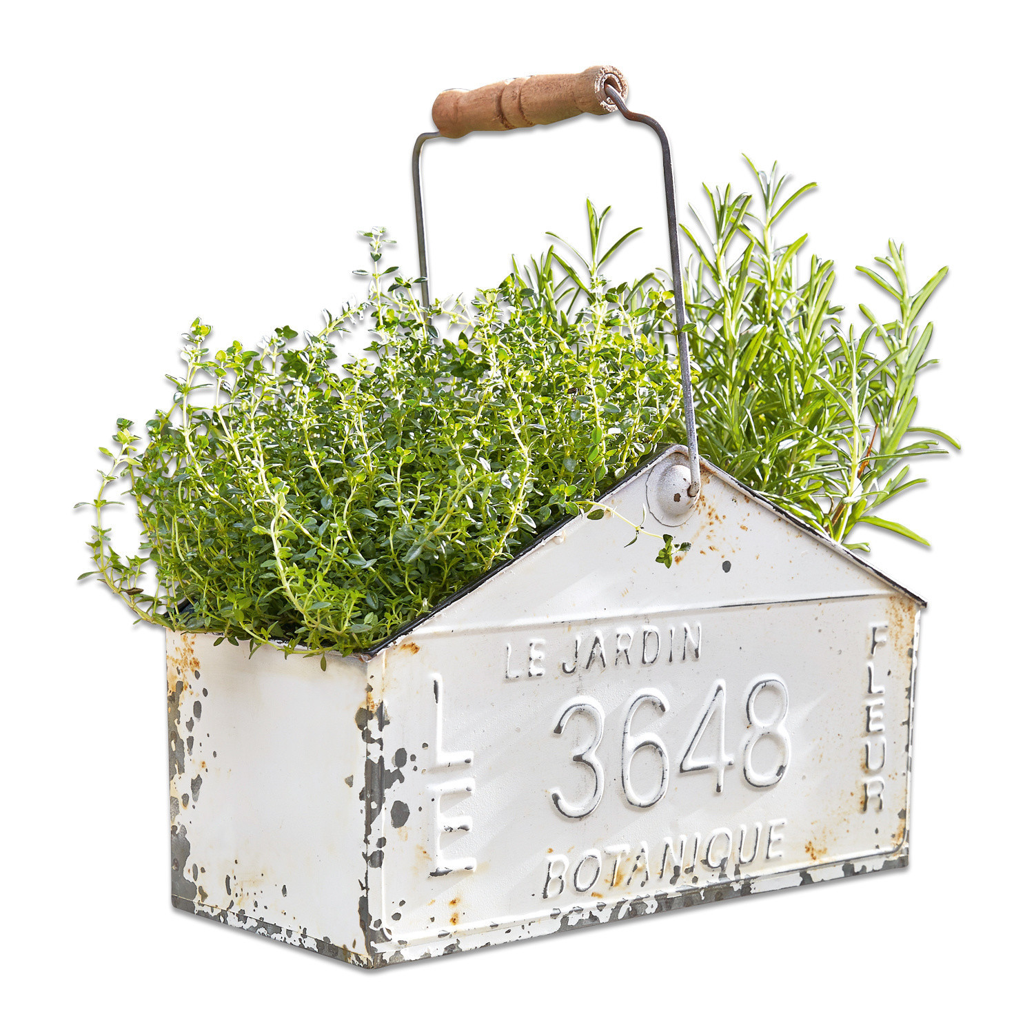 Mand Botanique Witte metalen plantenbak met houten handvat en groene kruiden, vintage tuindecoratie