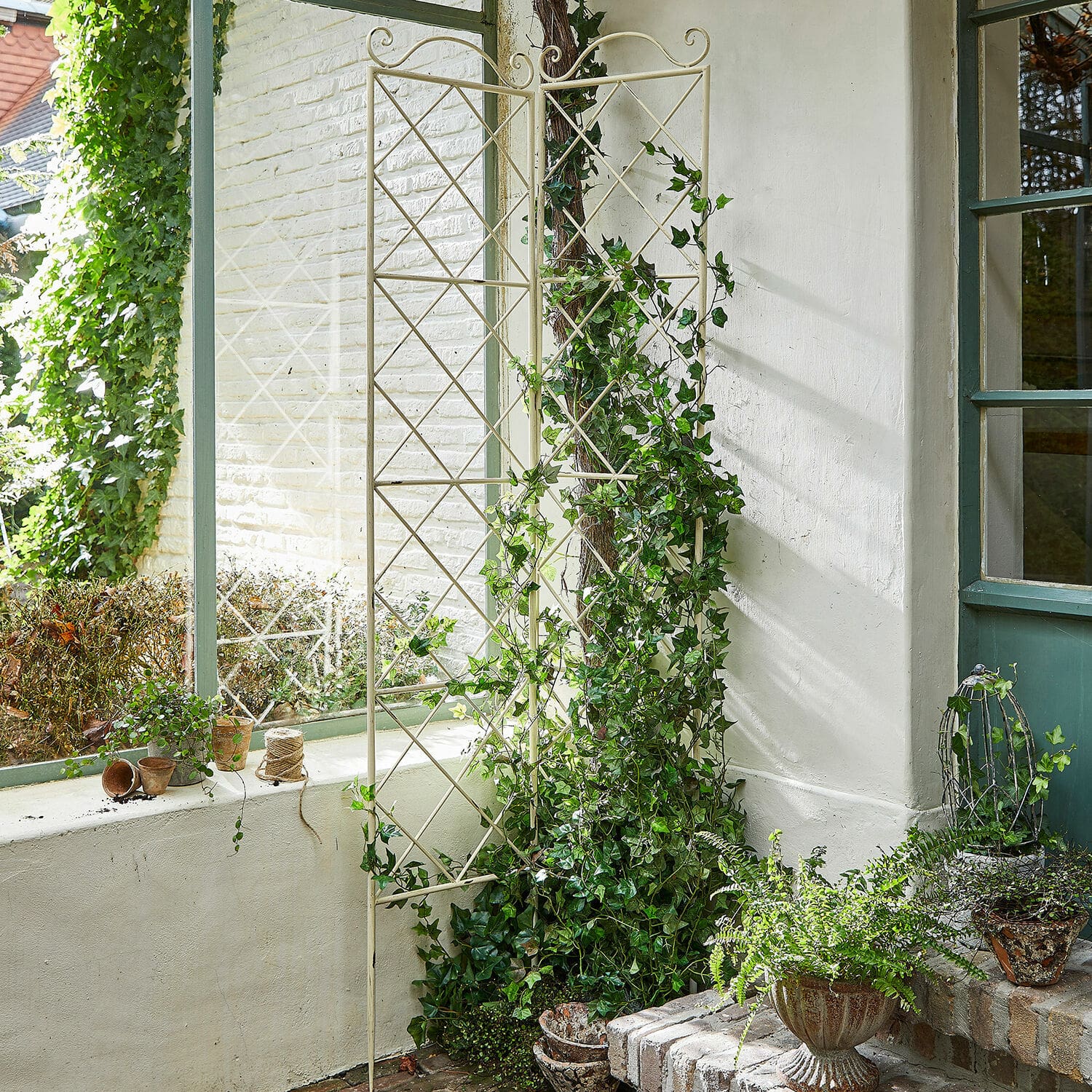 Klimplantenrek set van 2 Estero