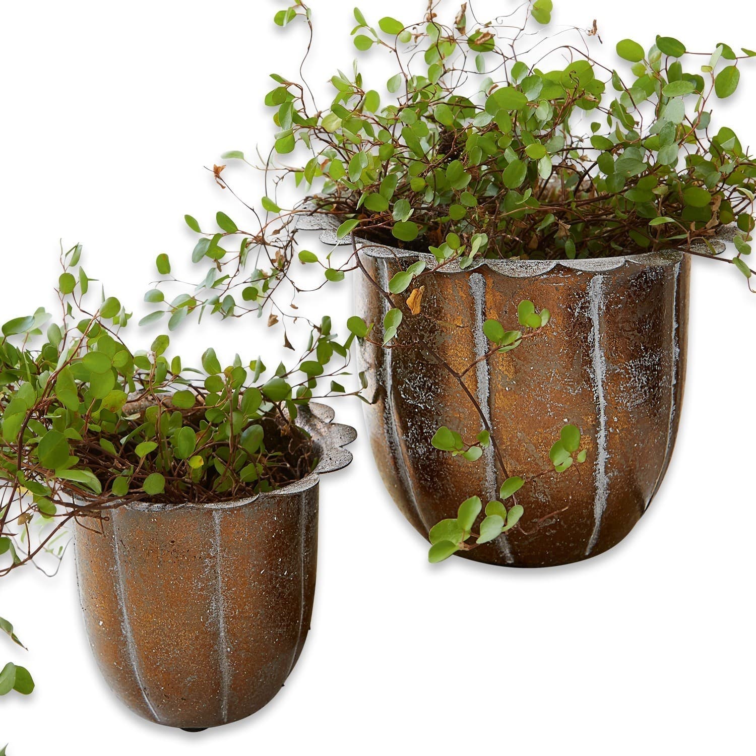 Sierpot set van 2 Périers
