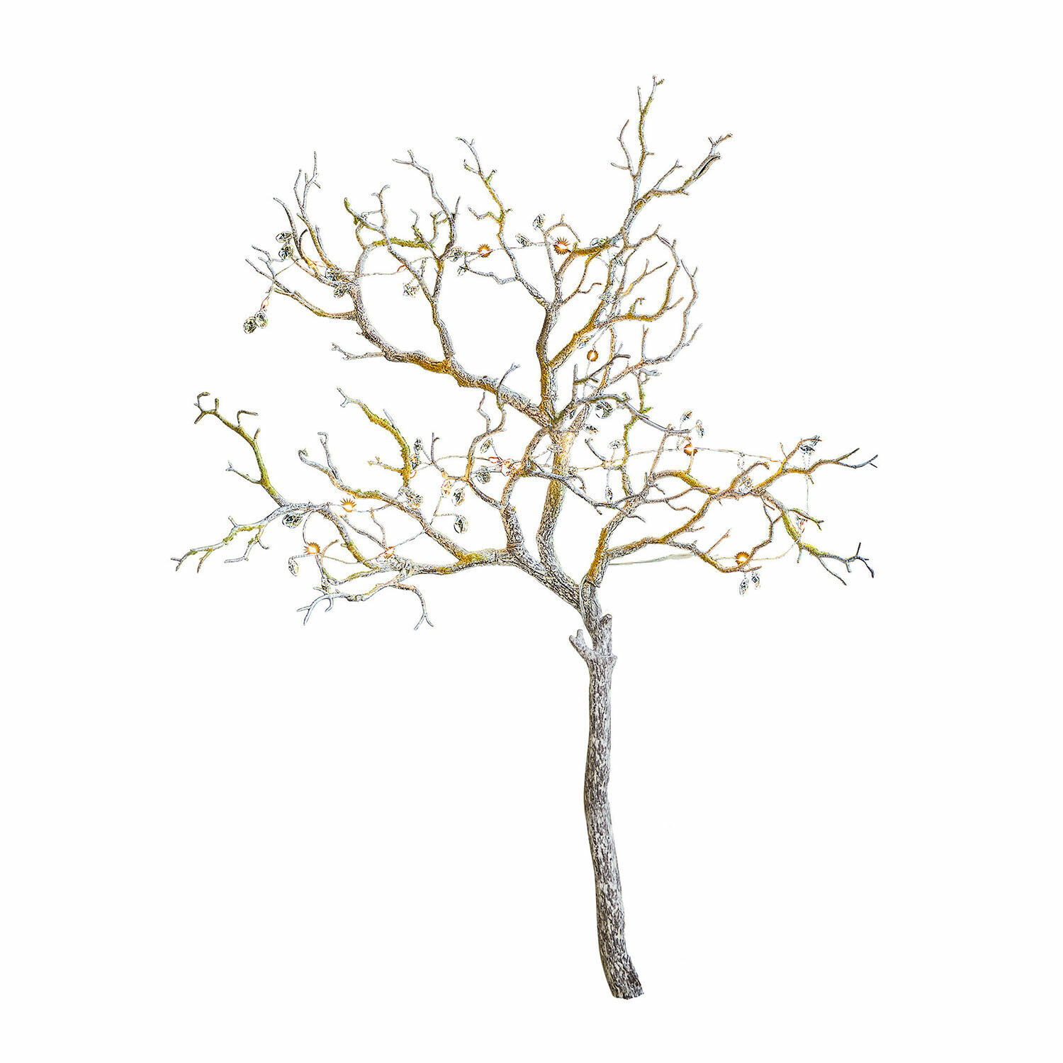Siertwijg Orélie Decoratieve boom van metalen takken in natuurlijke kleur voor binnen en buiten
