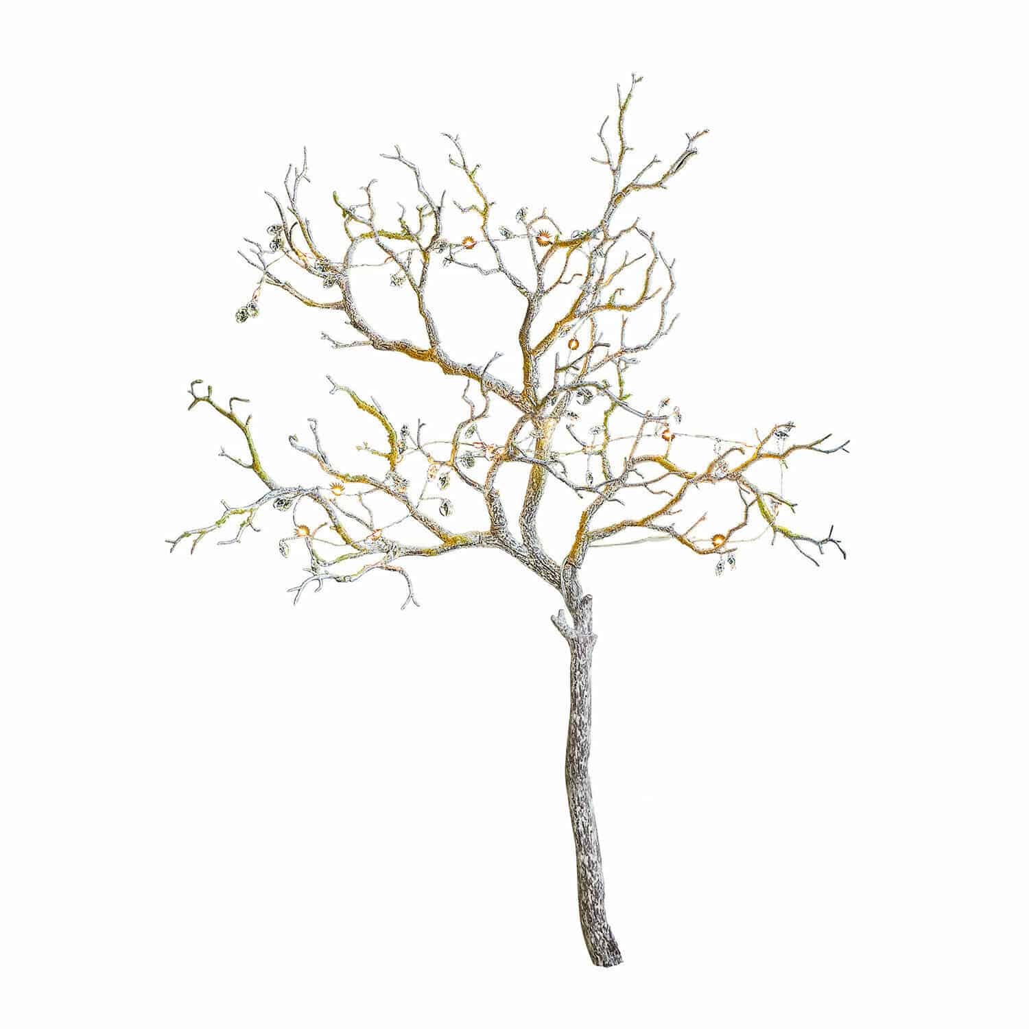 Siertwijg Orélie Decoratieve boom van metalen takken in natuurlijke kleur voor binnen en buiten