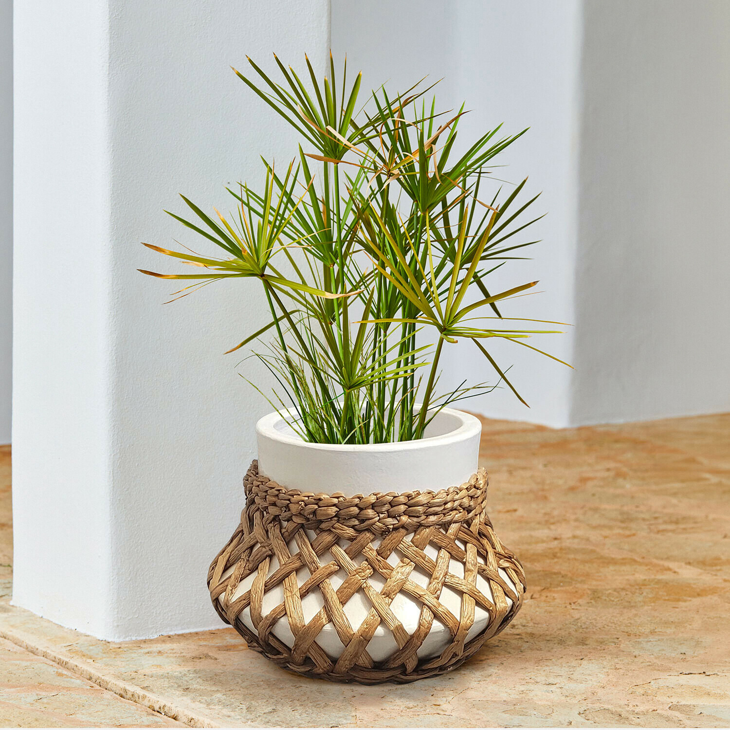 Witte keramische pot met gevlochten rieten hoes en groene plant op stenen vloer