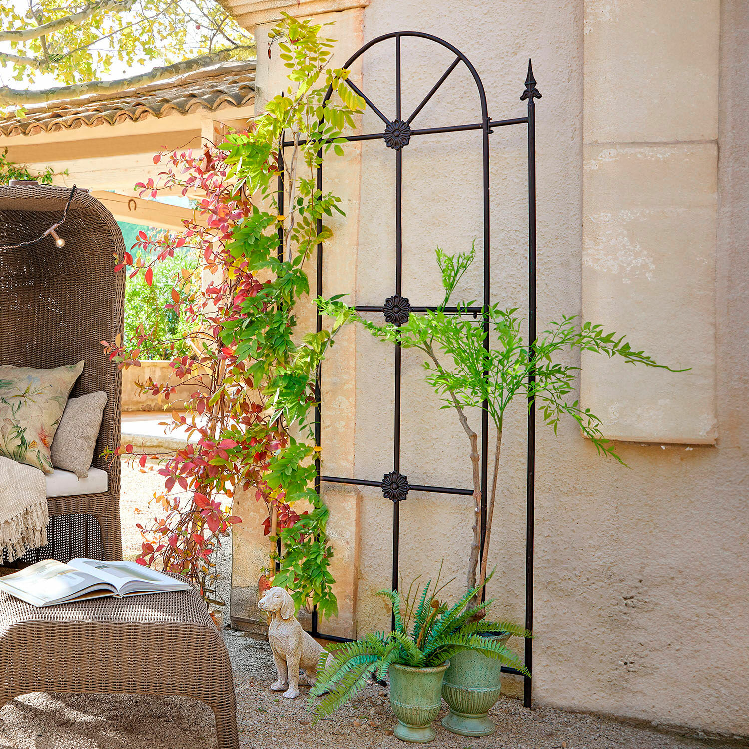 Plantensteun Silvexon