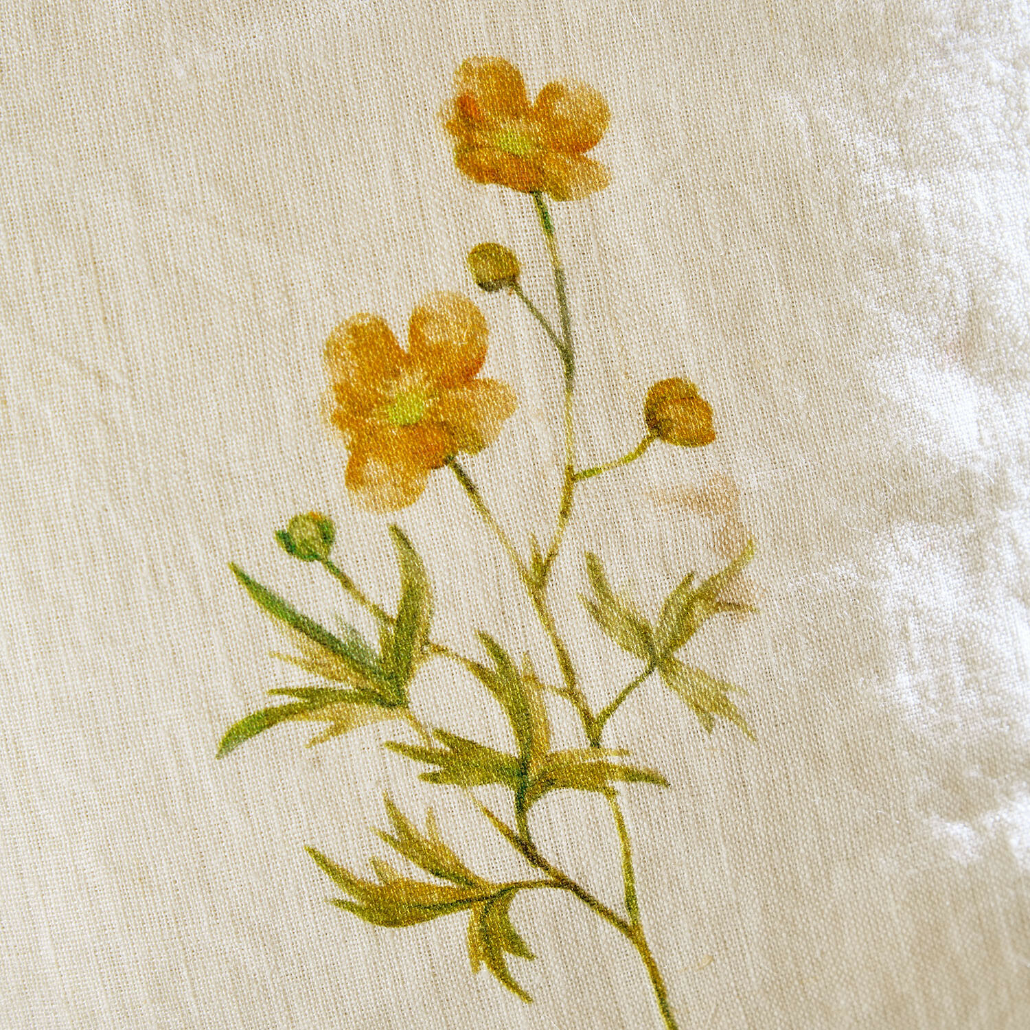 Kussenhoes Coudrisse