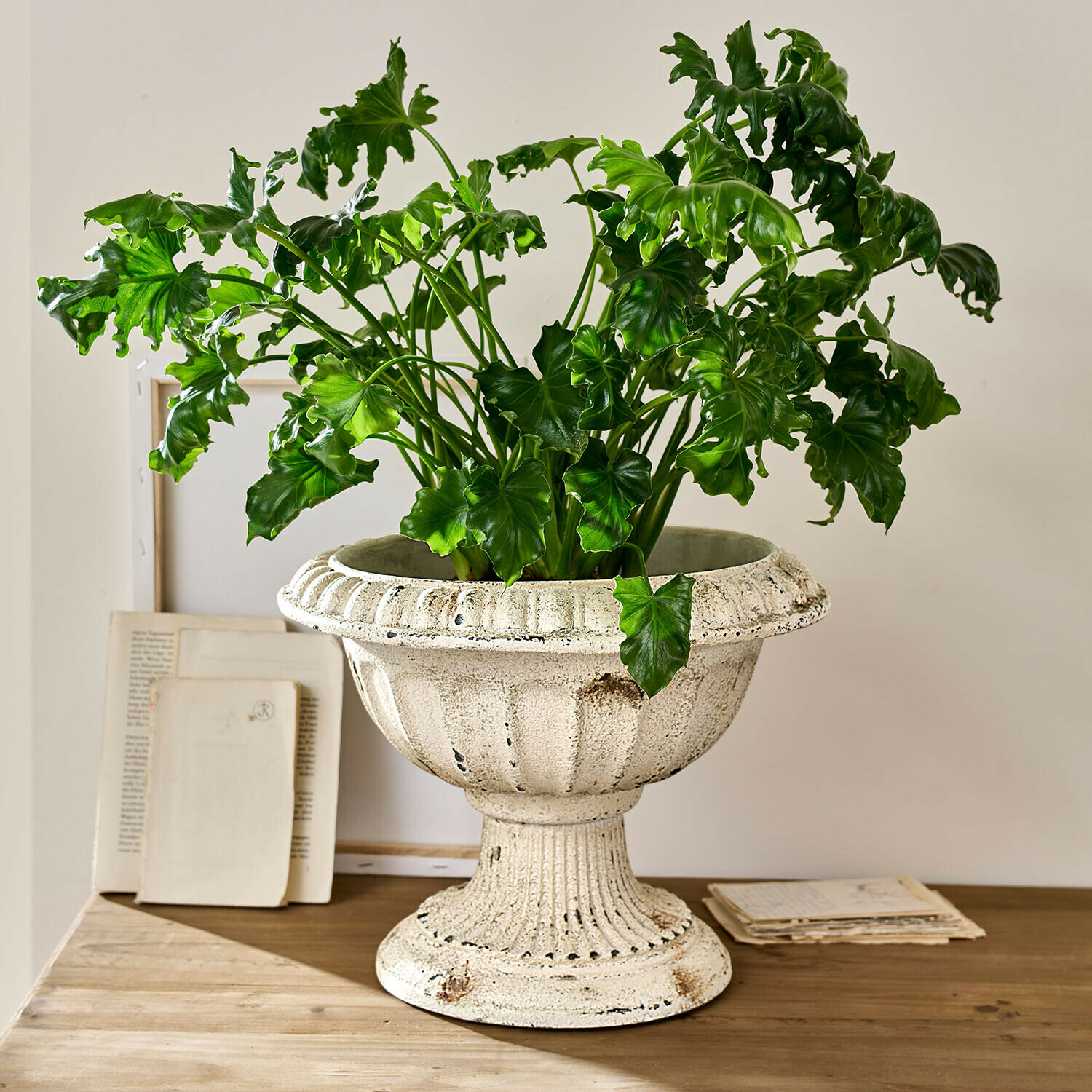 Amfora Islene Witte keramische bloempot met groene plant op houten tafel, interieurdecoratie