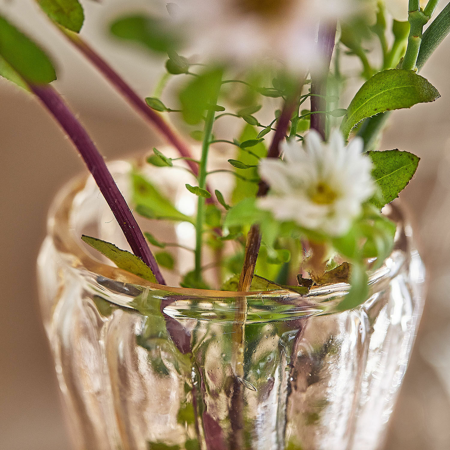 Vaas set van 3 Faunelle