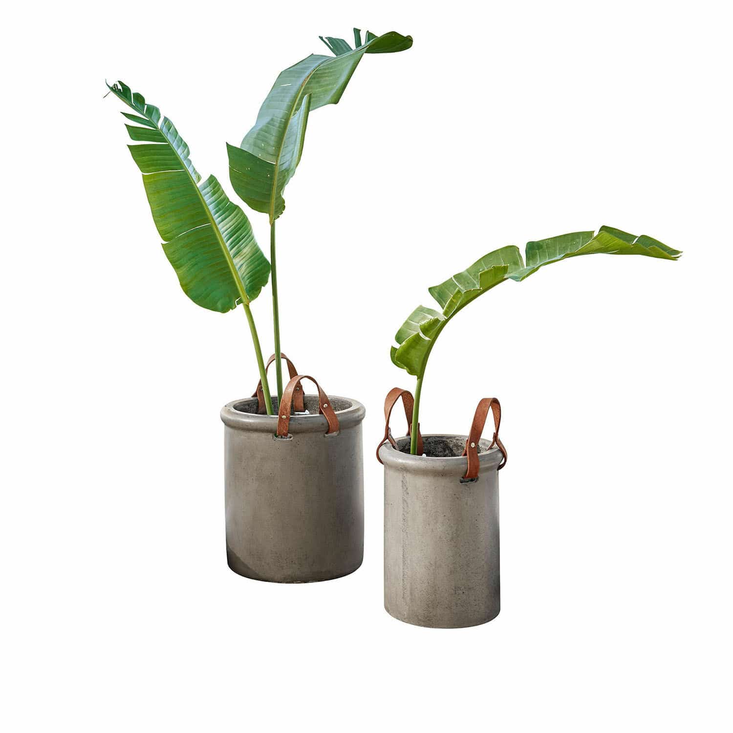 Sierpot set van 2 Tessonet