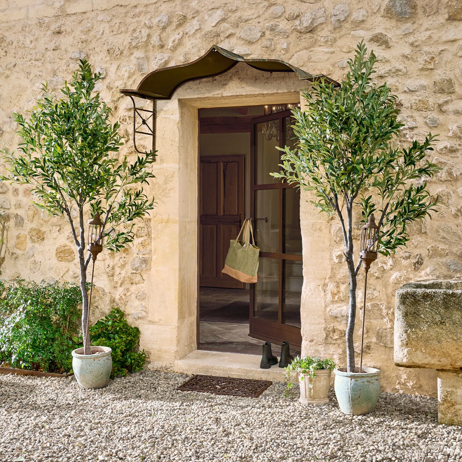 Decoratieve olijfboom Faelira