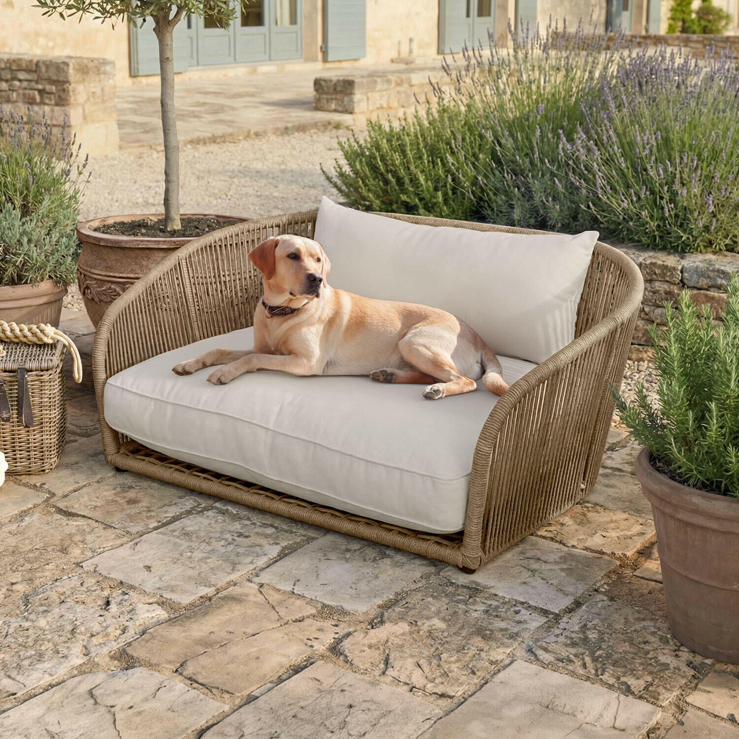 Huisdierenbank voor binnen en buiten Belvidere Beige gevlochten bank met crèmekleurige kussens op stenen terras, hond liggend naast planten in potten