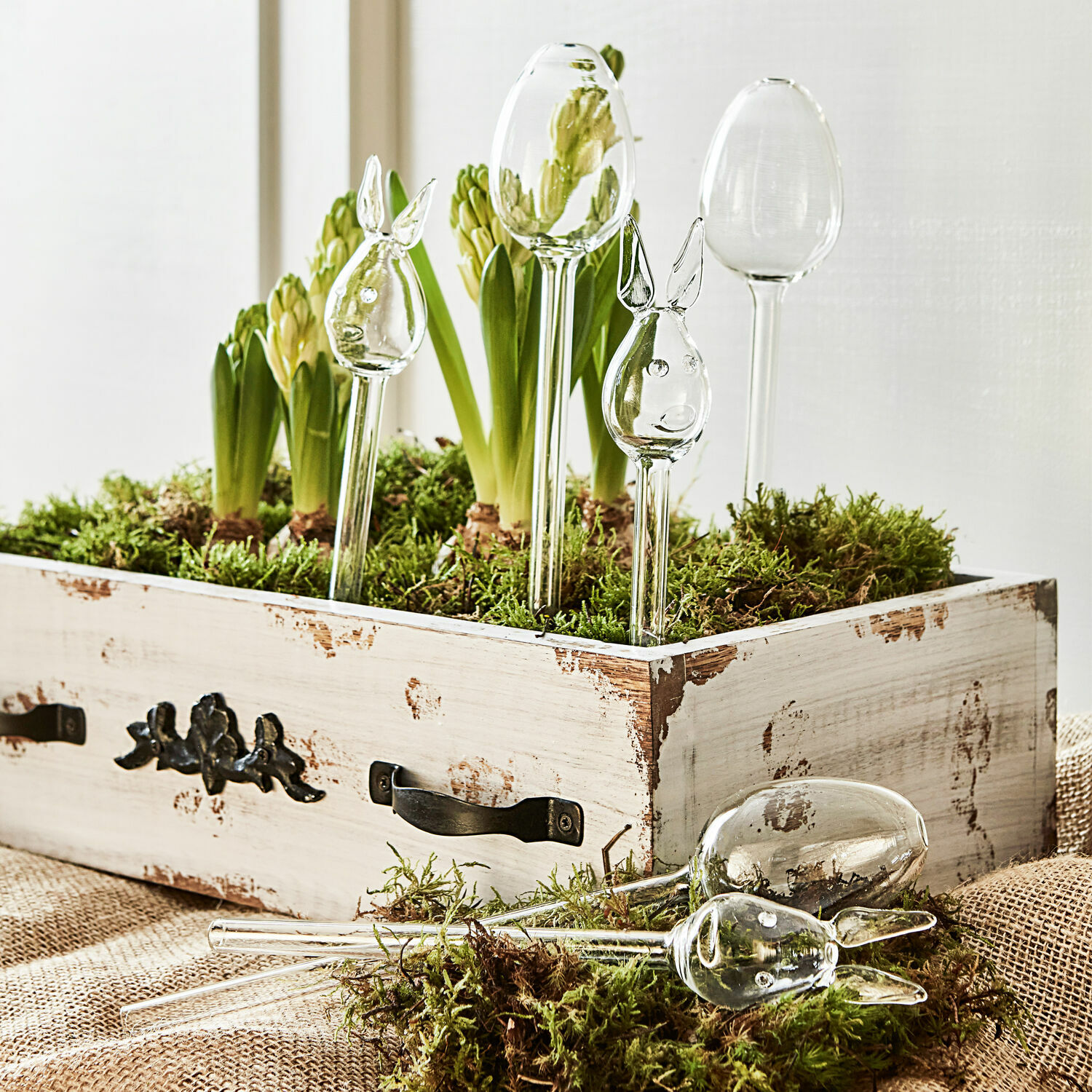 Bewateringssysteem set van 6 Suva Glazen decoraties in de vorm van konijnenhoofden op lange stelen in een houten doos met groene planten
