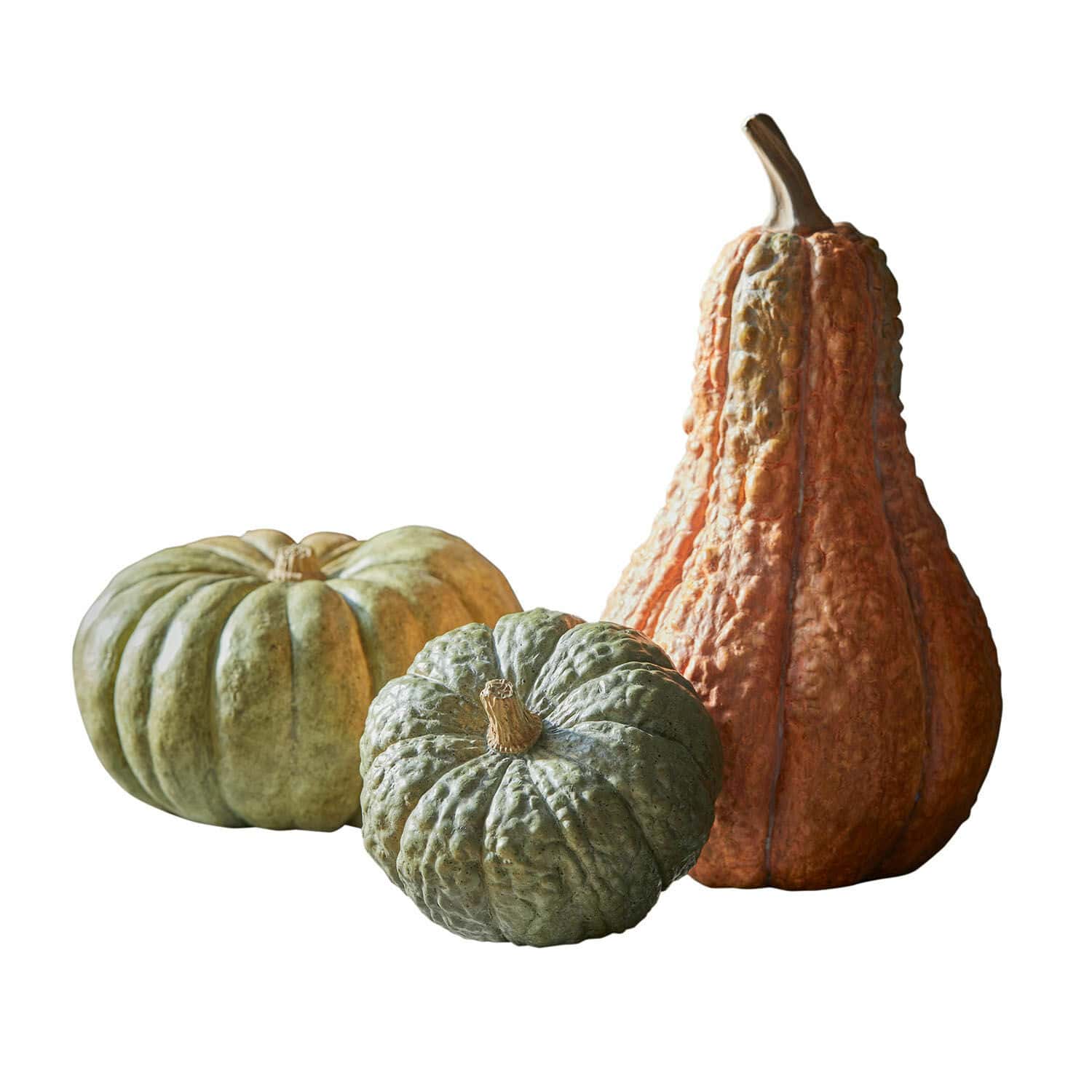 Drie decoratieve pompoenen in groen en oranje voor herfstdecoratie