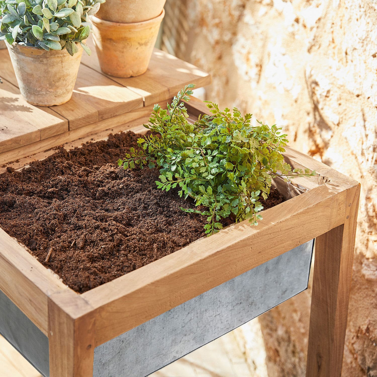 Plantentafel Mathéo