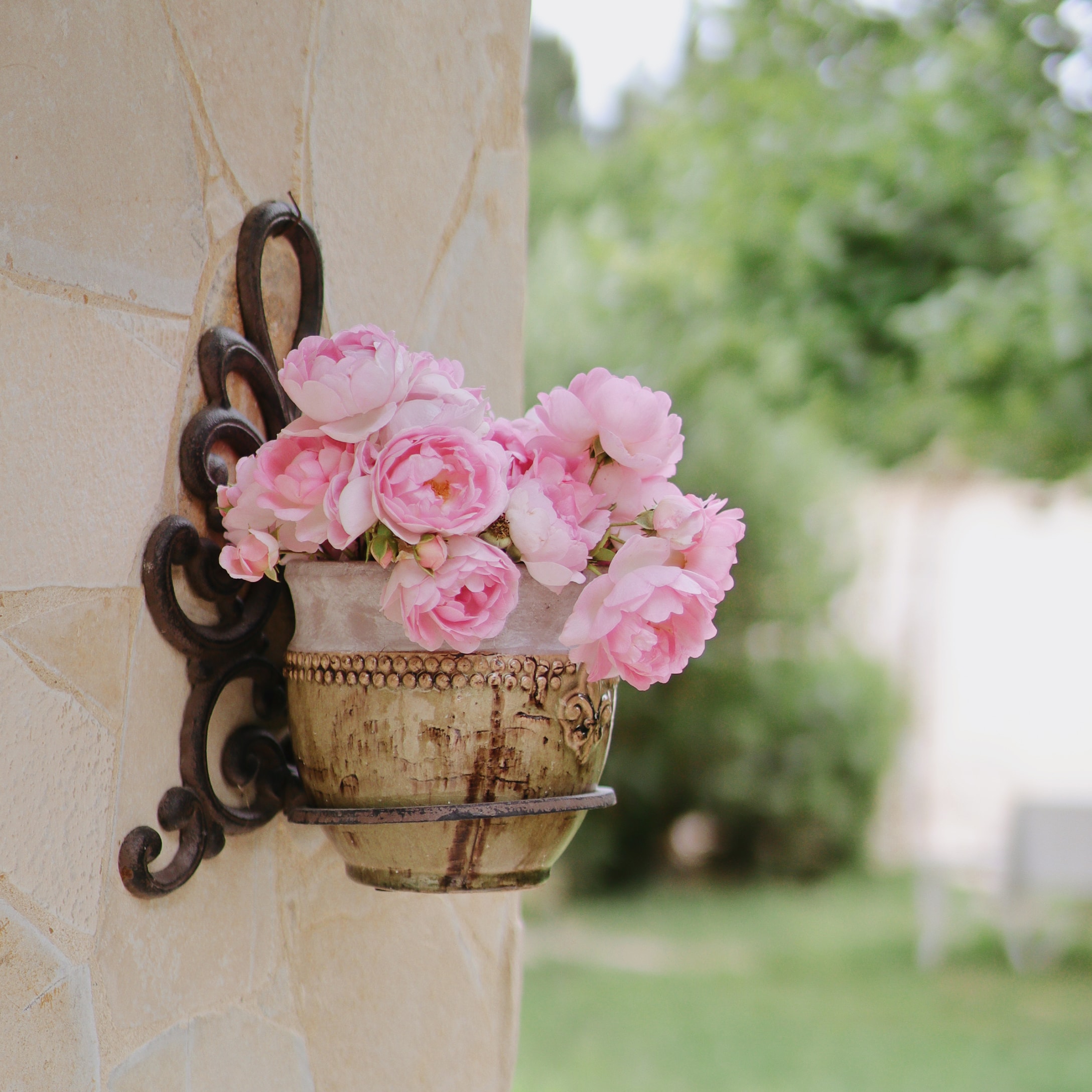 Roze bloemen in decoratieve keramische pot aan metalen houder op stenen muur