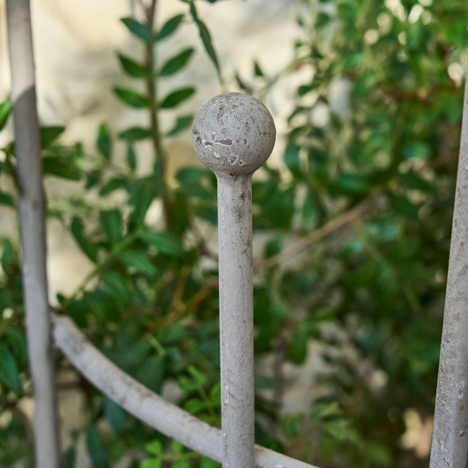 Plantensteun Ormisse