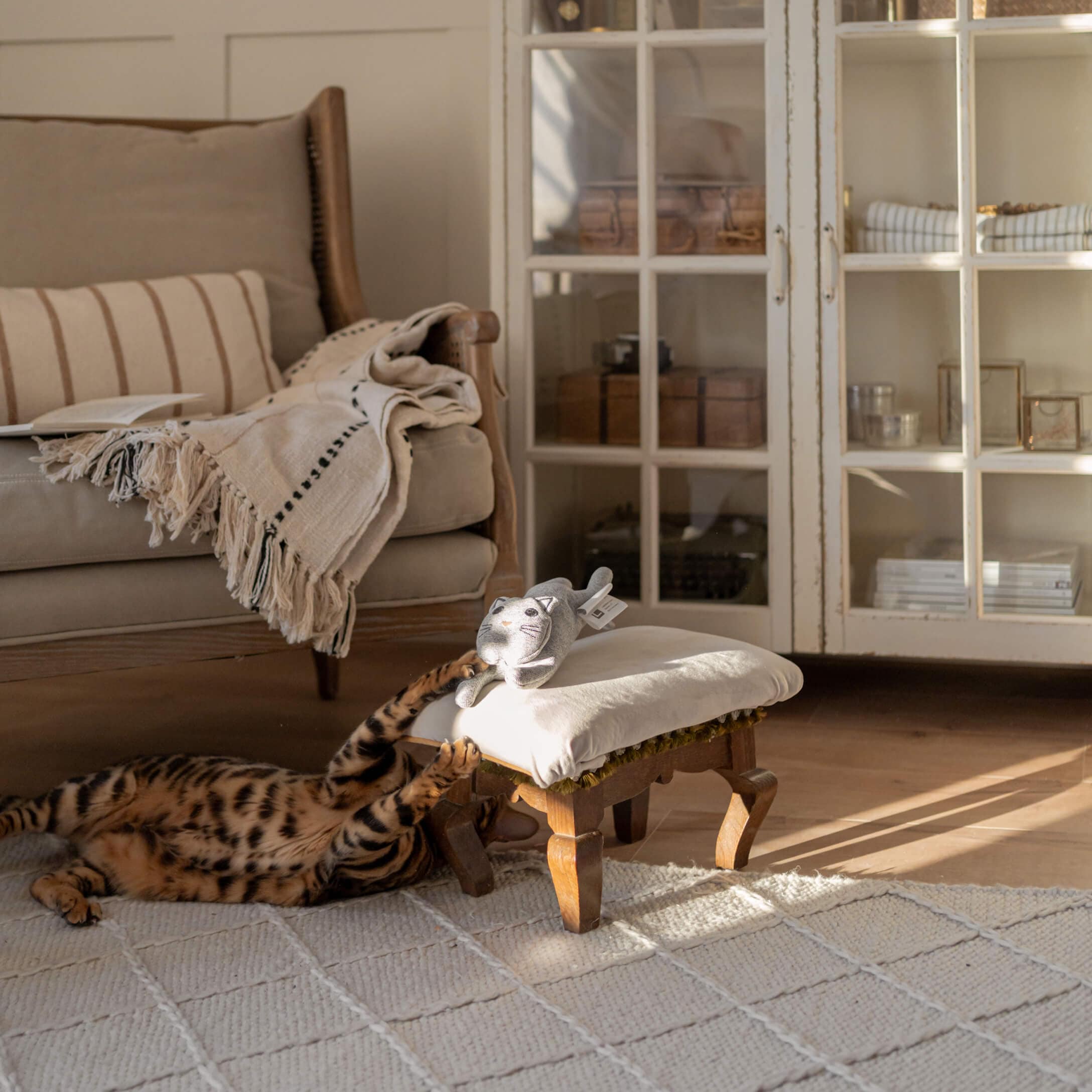 Grijze pluchen kat op wit voetenbankje met houten poten in gezellige woonkamer met kat spelend op tapijt