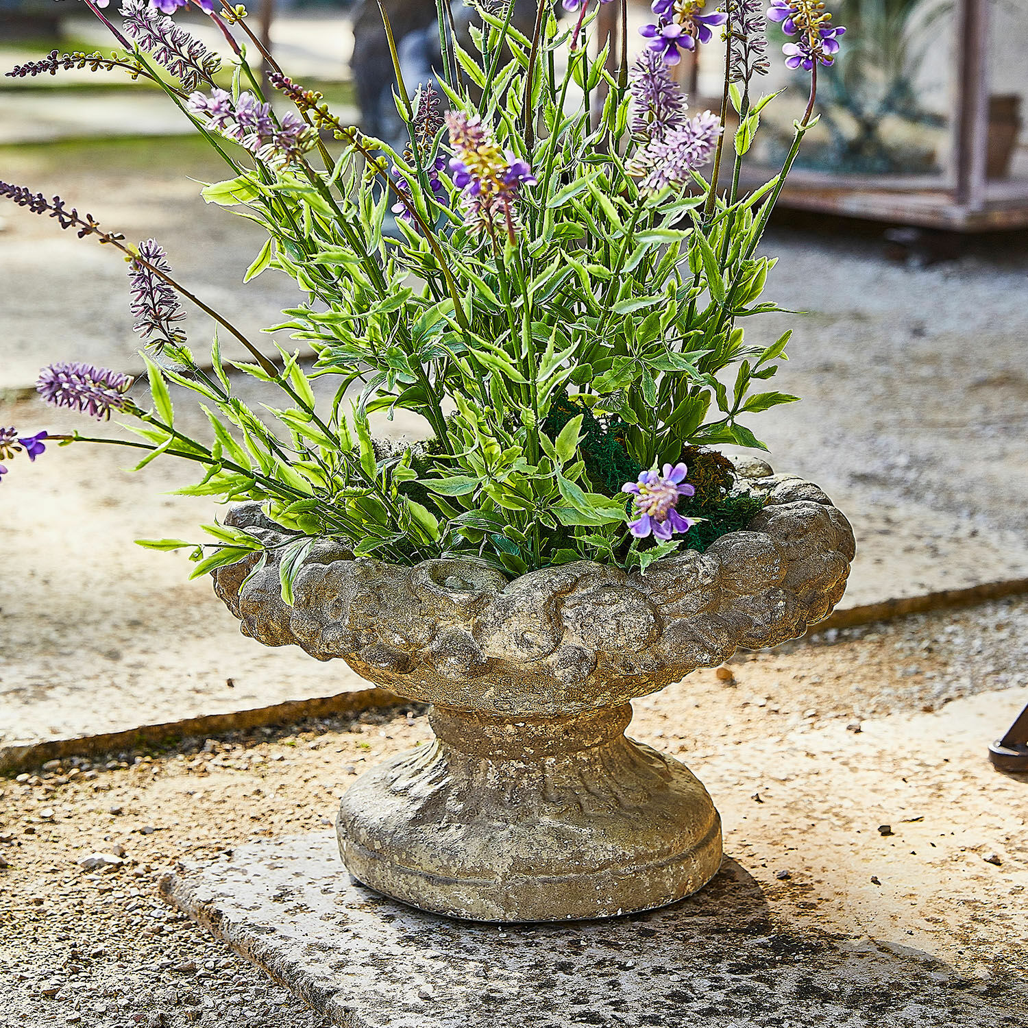Rustieke stenen plantenbak met groene en paarse bloemen, buiten tuin decoratie