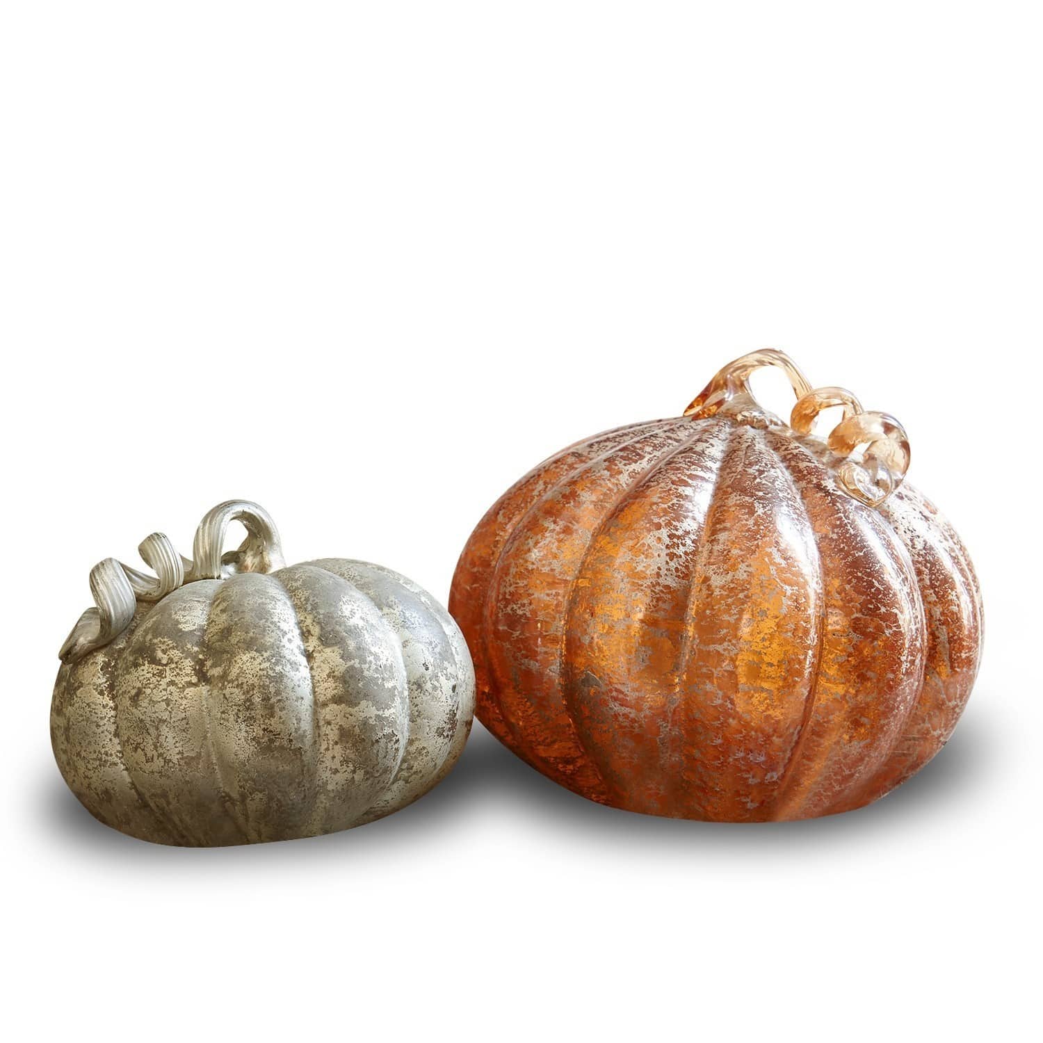 Pompoen set van 2 Courges
