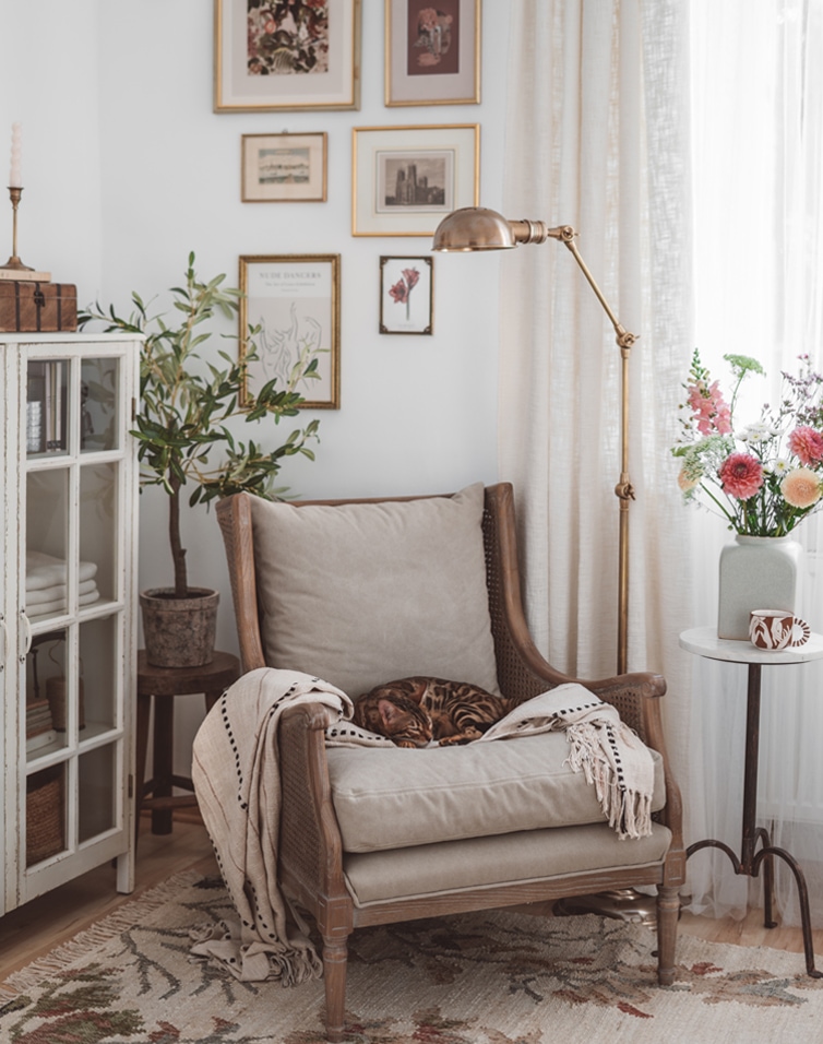 Gezellige beige fauteuil met kussen en deken, slapende kat, lichte woonkamer met lamp en bloemen