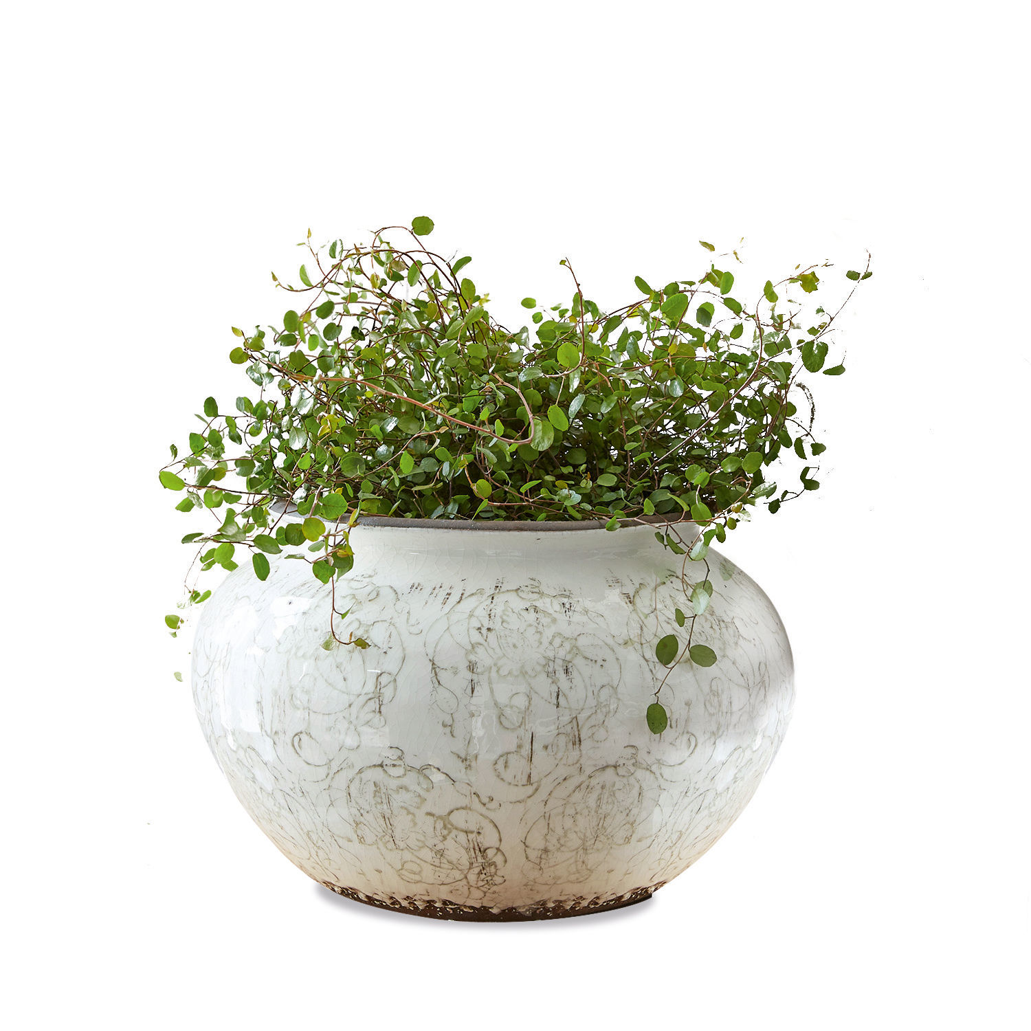Pot Gretja