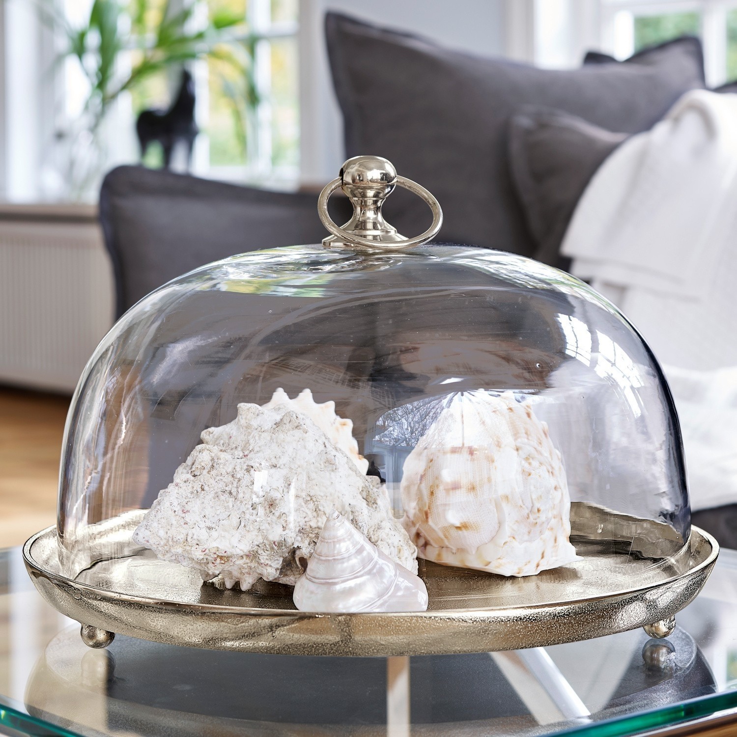 Glazen stolp met plateau Voilá