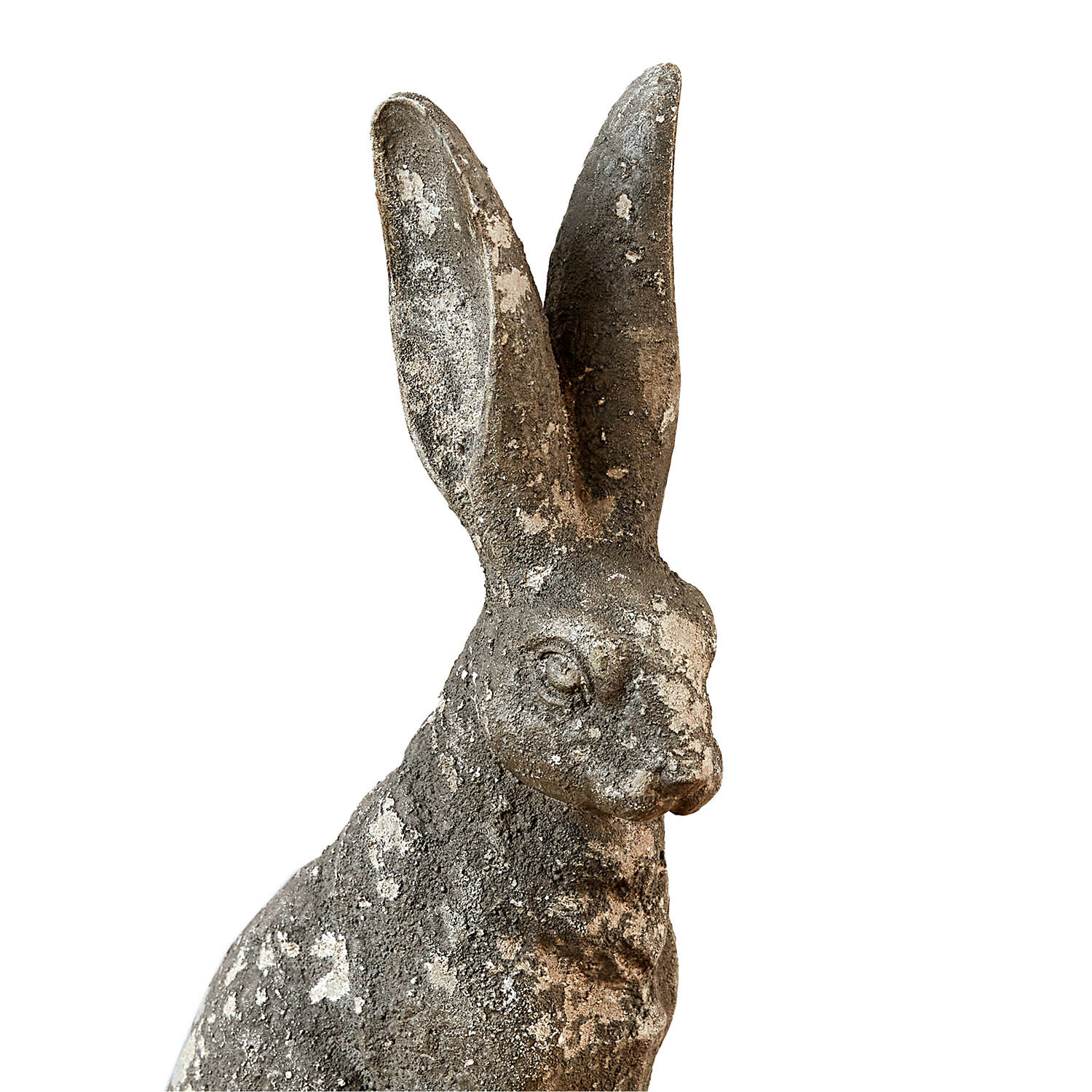 Decoratieve haas Nivelles