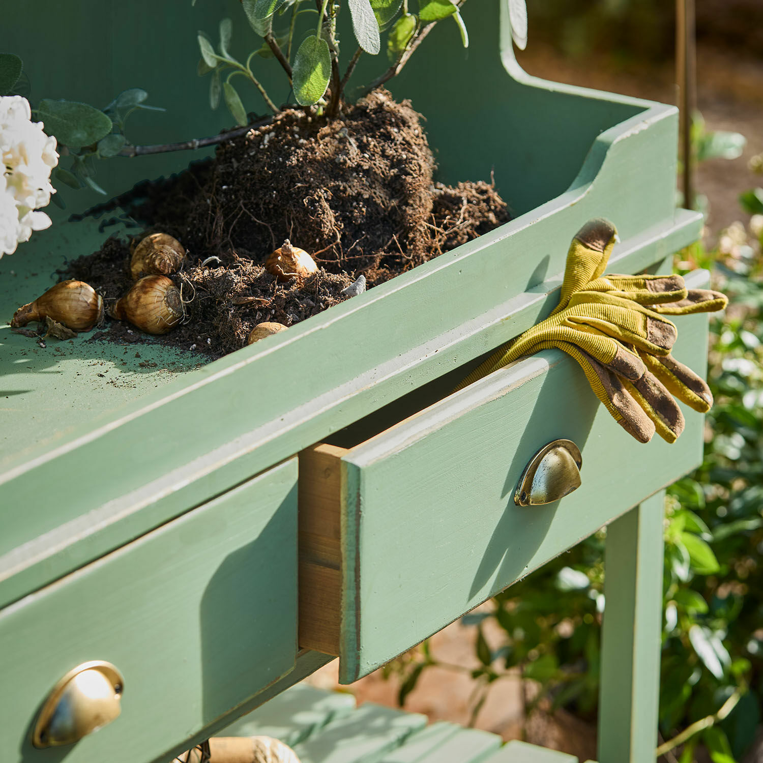 Plantentafel Castelune